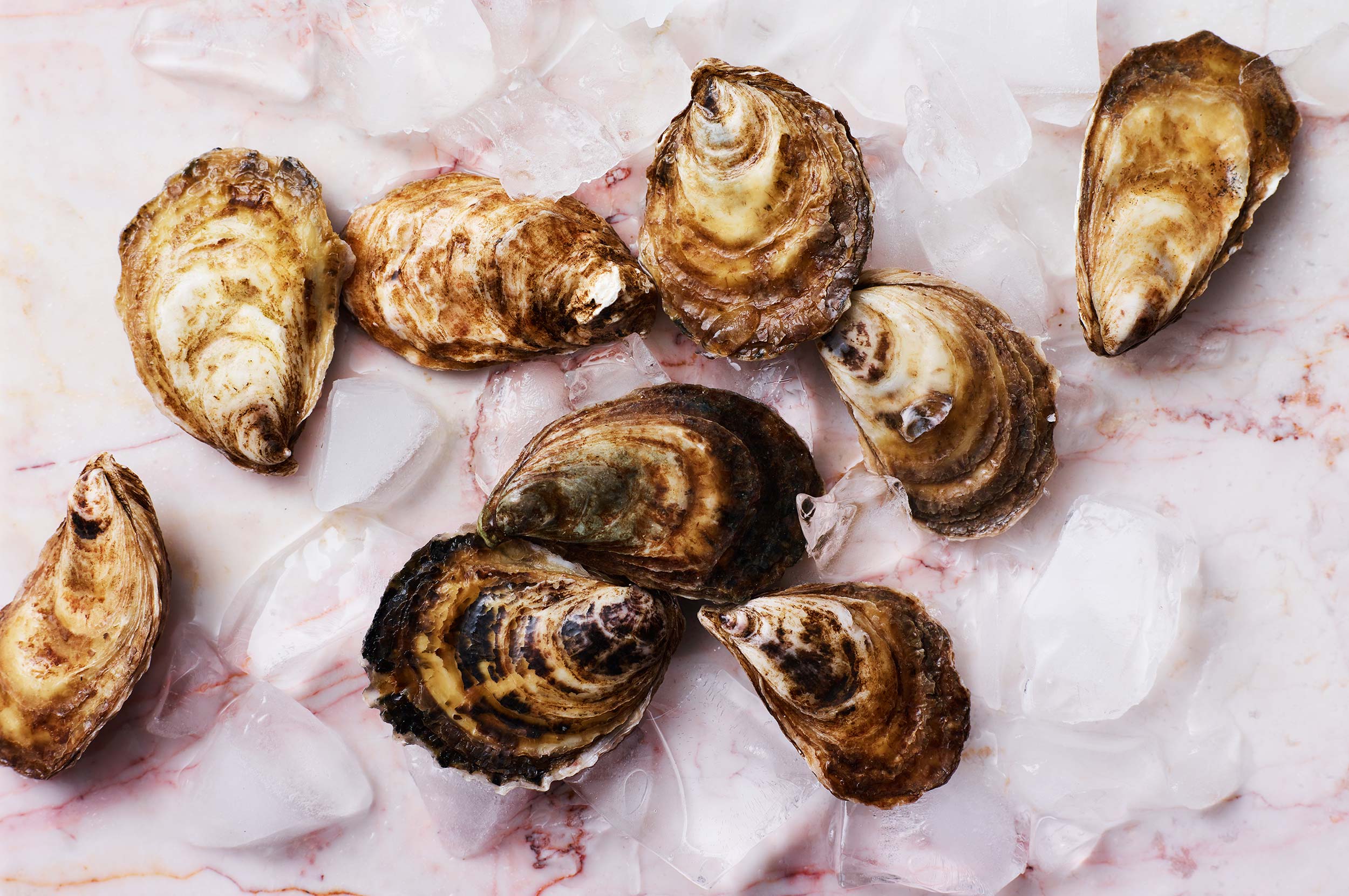 Oyster-Party_0214.jpg