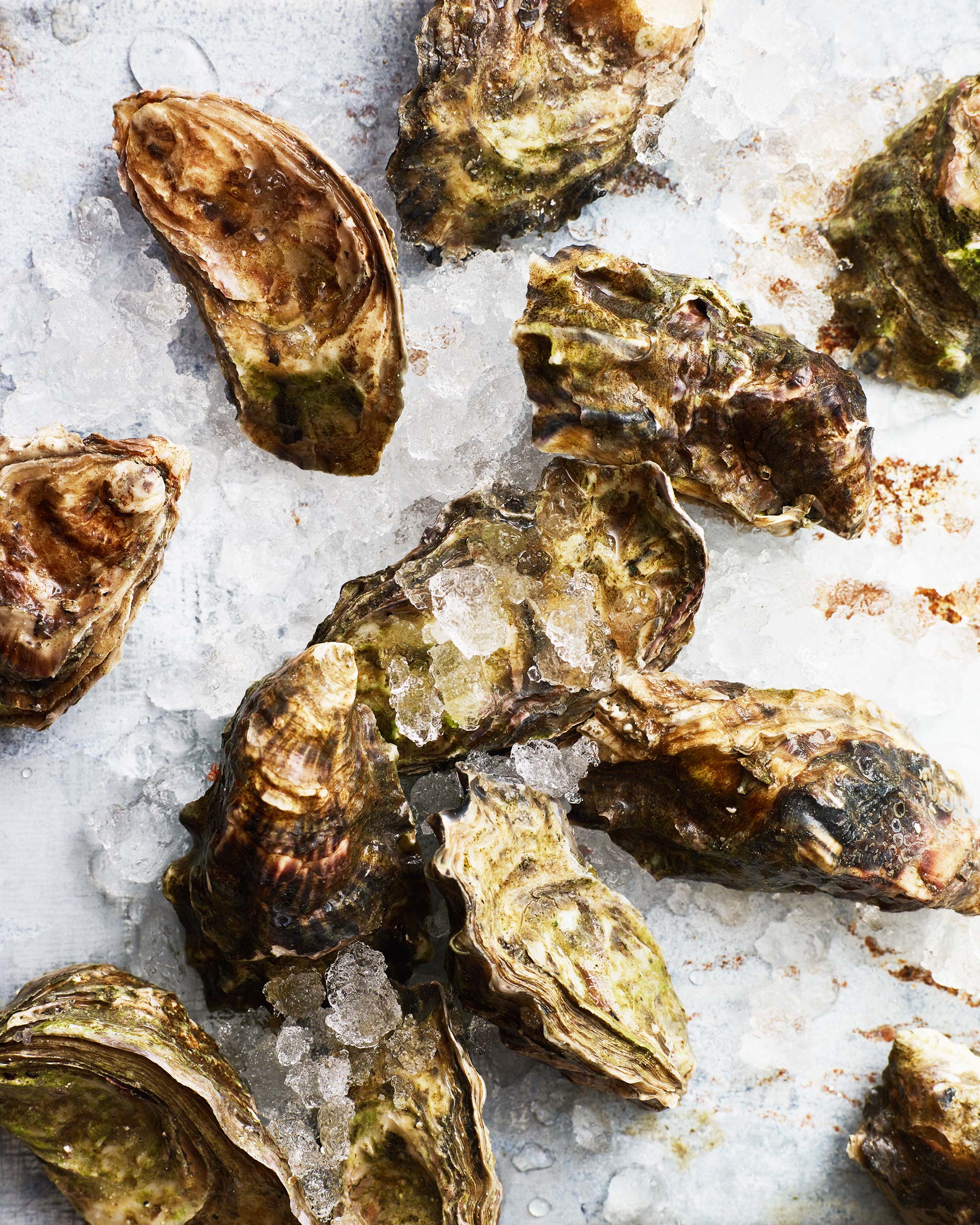 Oyster-Party_0231.jpg
