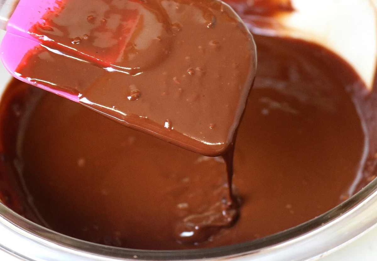 Chocolate Coconut Ganache Filling Recipe [Vegan/Non-dairy]