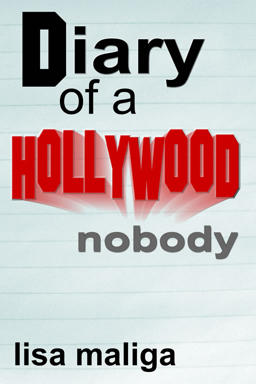 hollywoodnobodysml.jpg