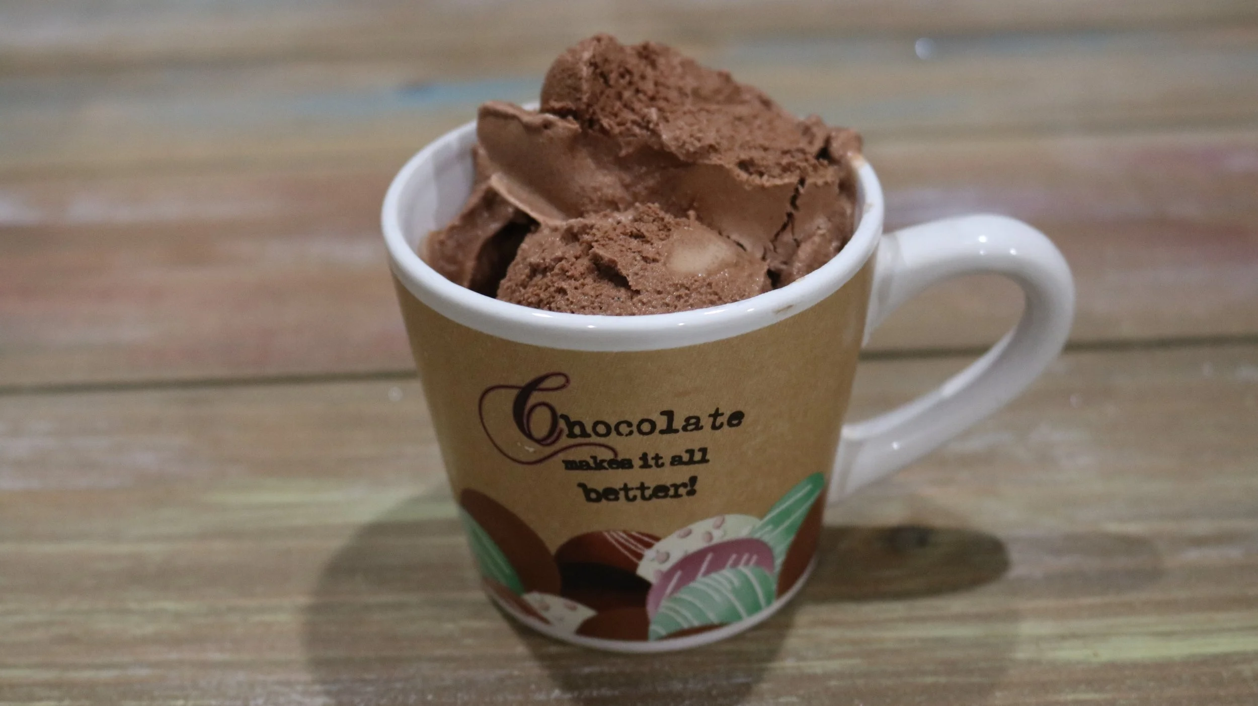 Make Your Own Rich Chocolate Ice Cream