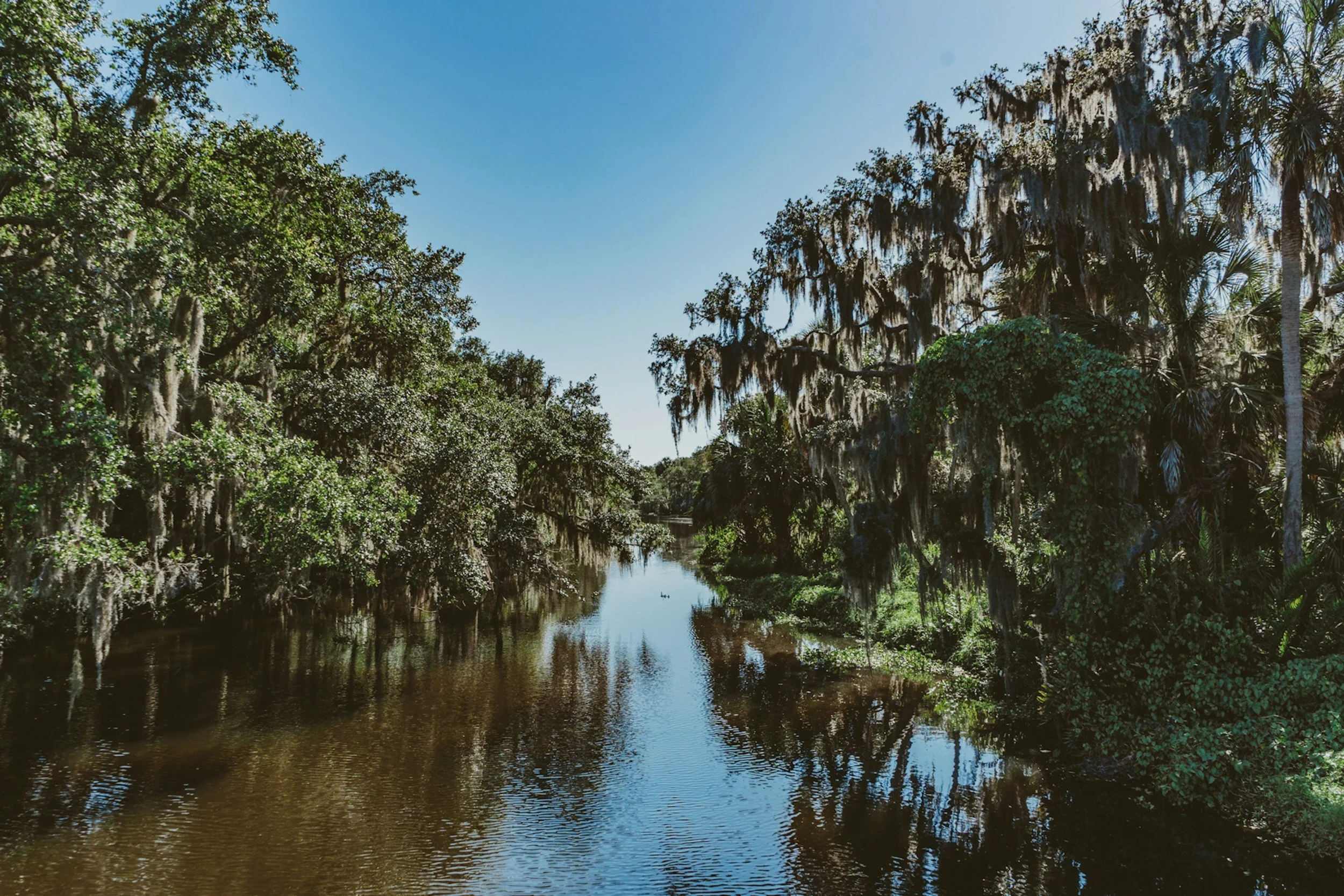 unsplash-image-mcHdAkWENxM.jpg