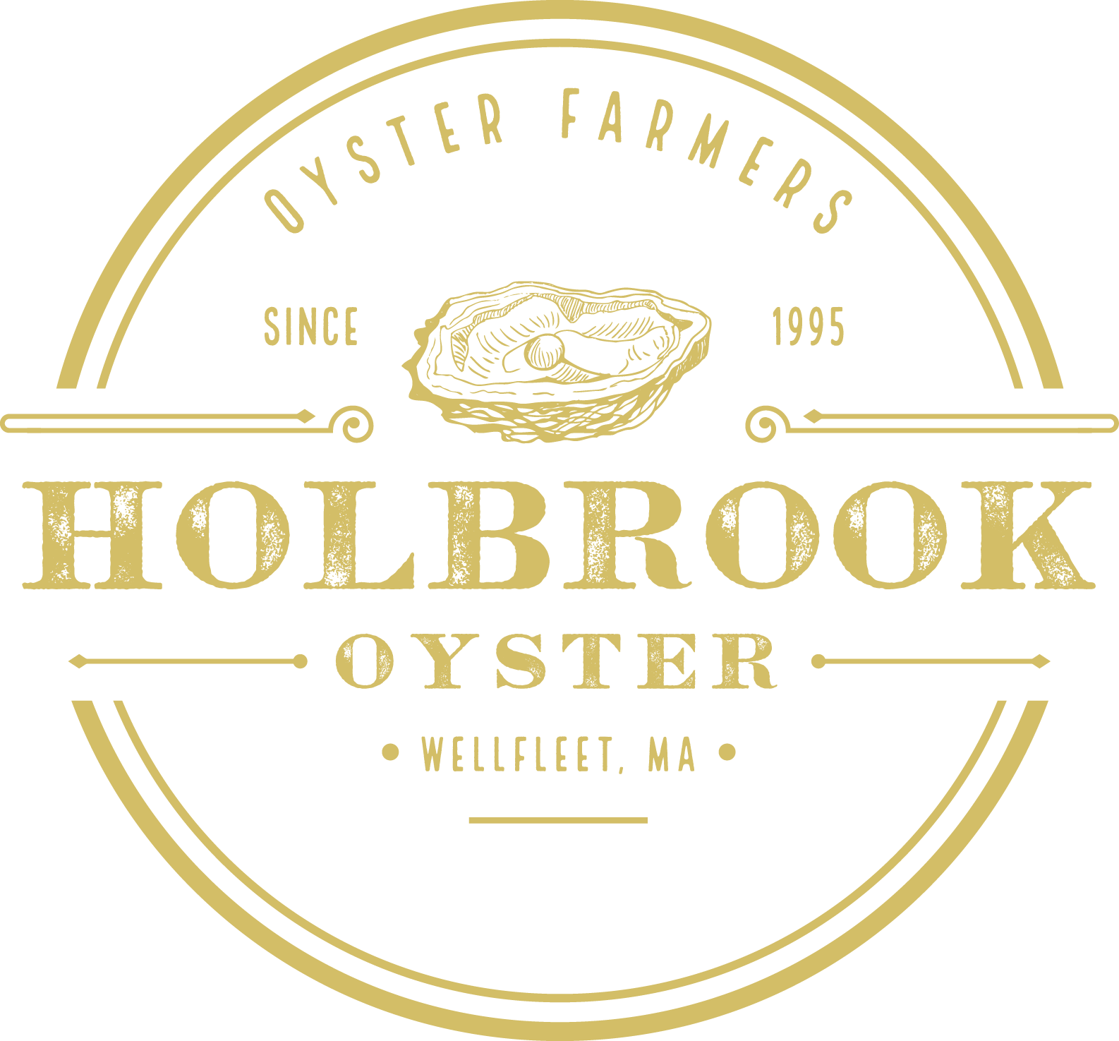 Holbrook Oyster