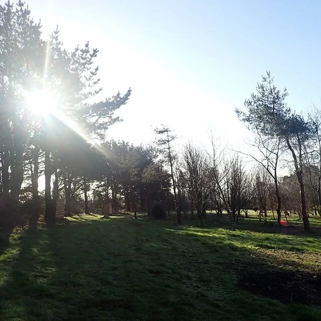 A beautiful morning at the start of a dryer week