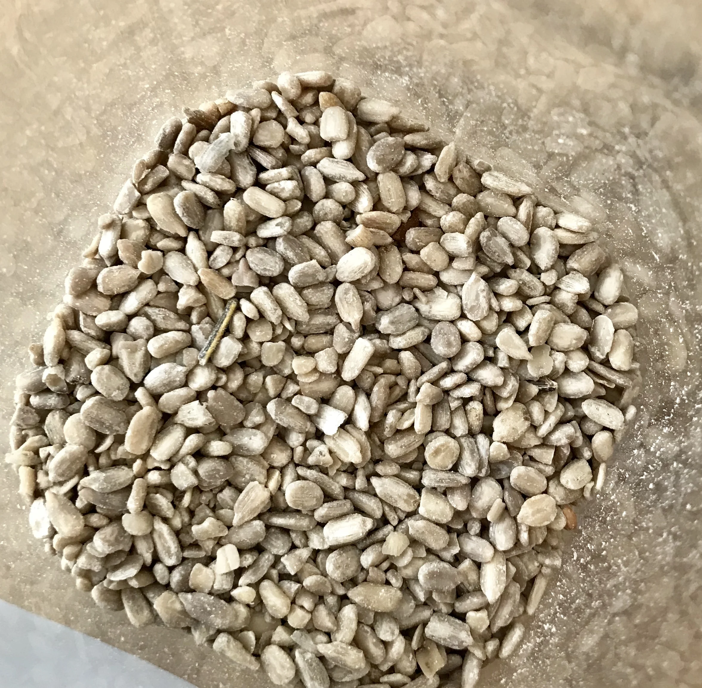 Graines de tournesol Bio