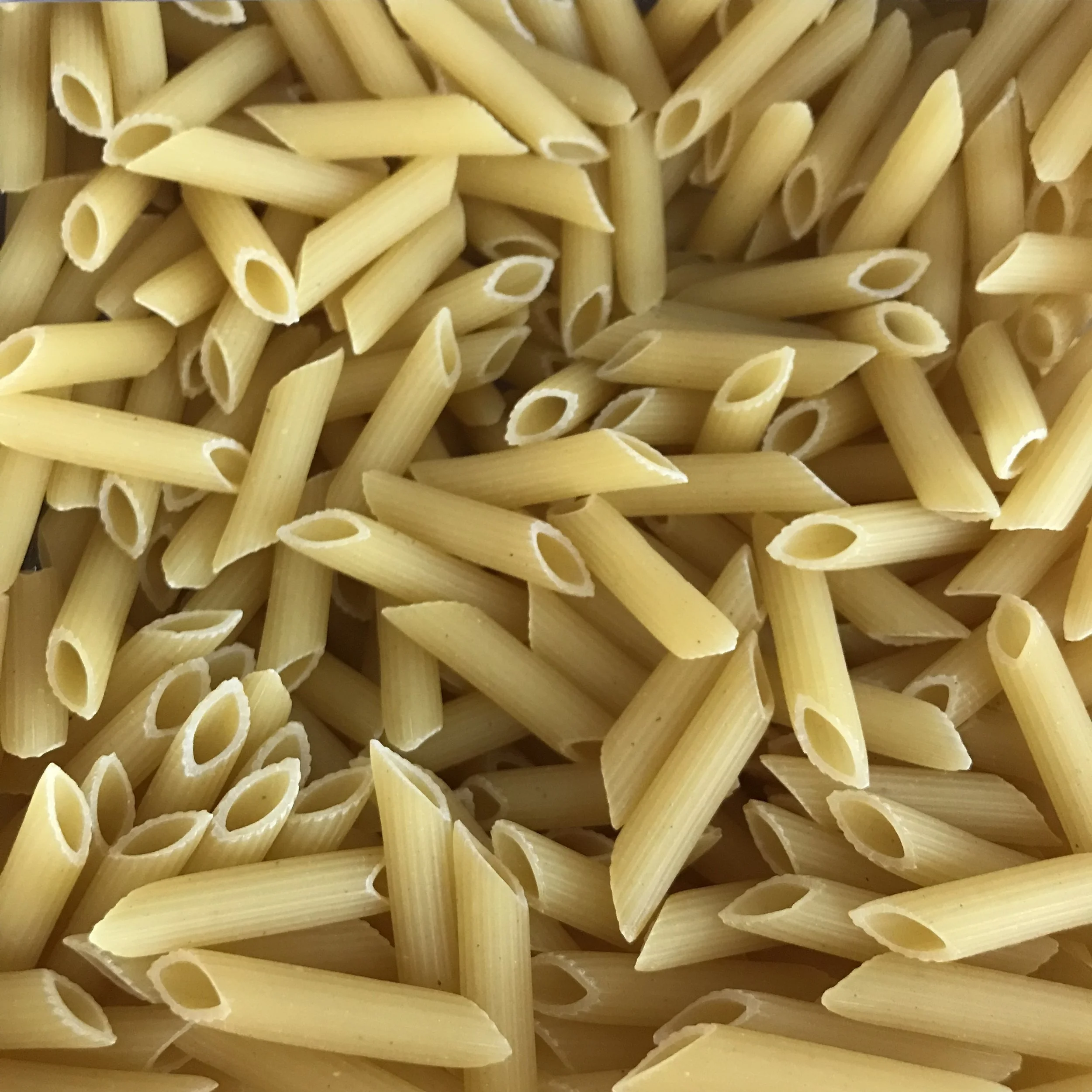 Penne au blé Bio