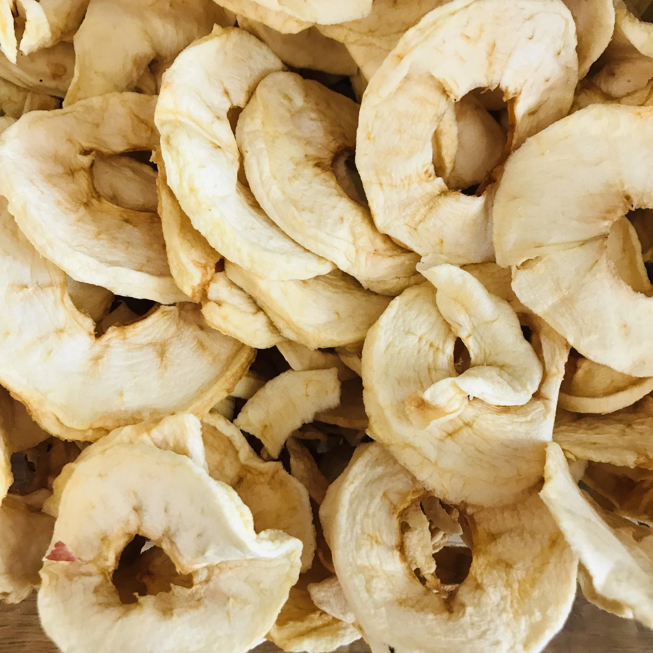 2AFE23BA-0B0E-48CA-972E-CFBA5C7E2CCC