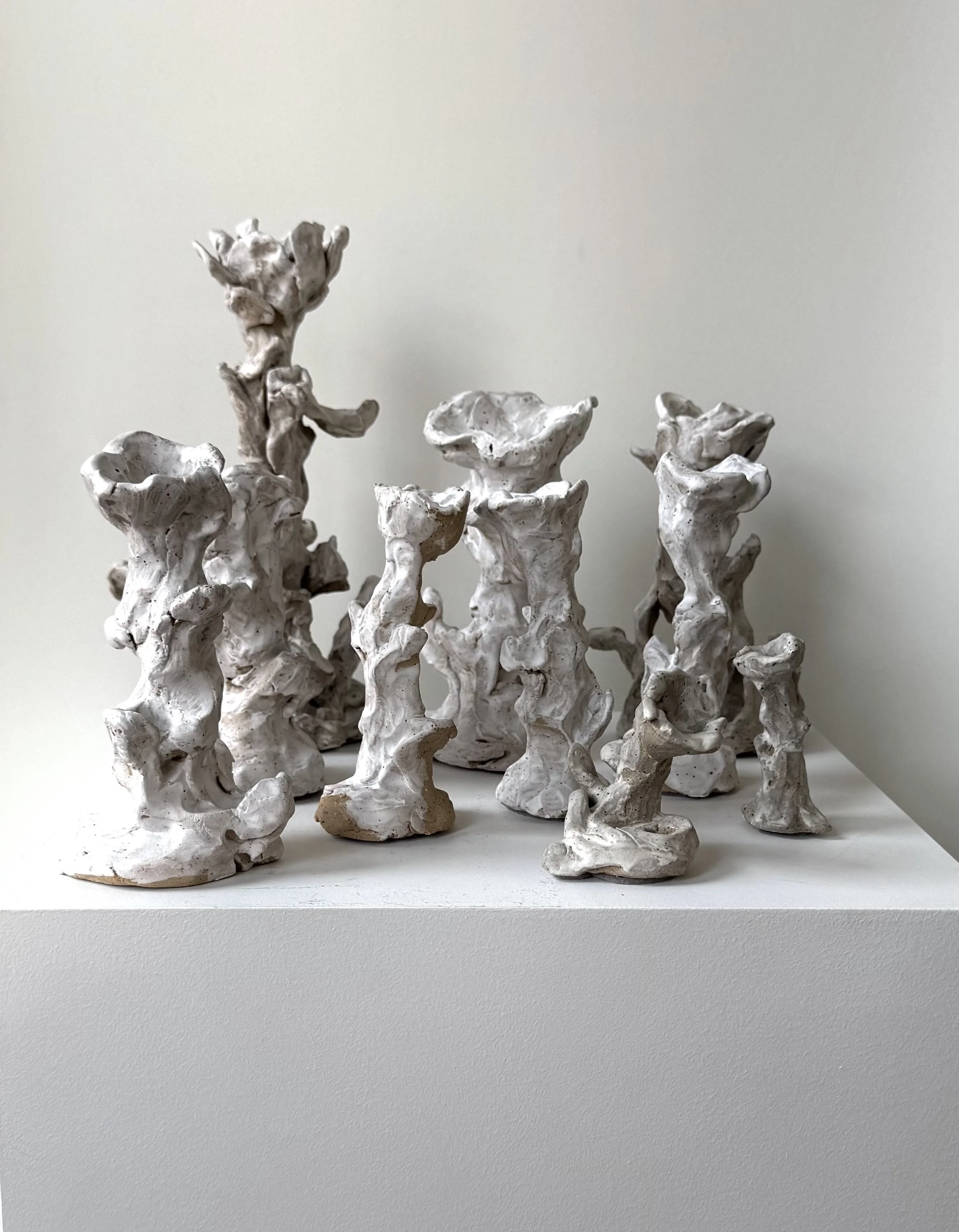 MRotzel Shadow Garden.jpg