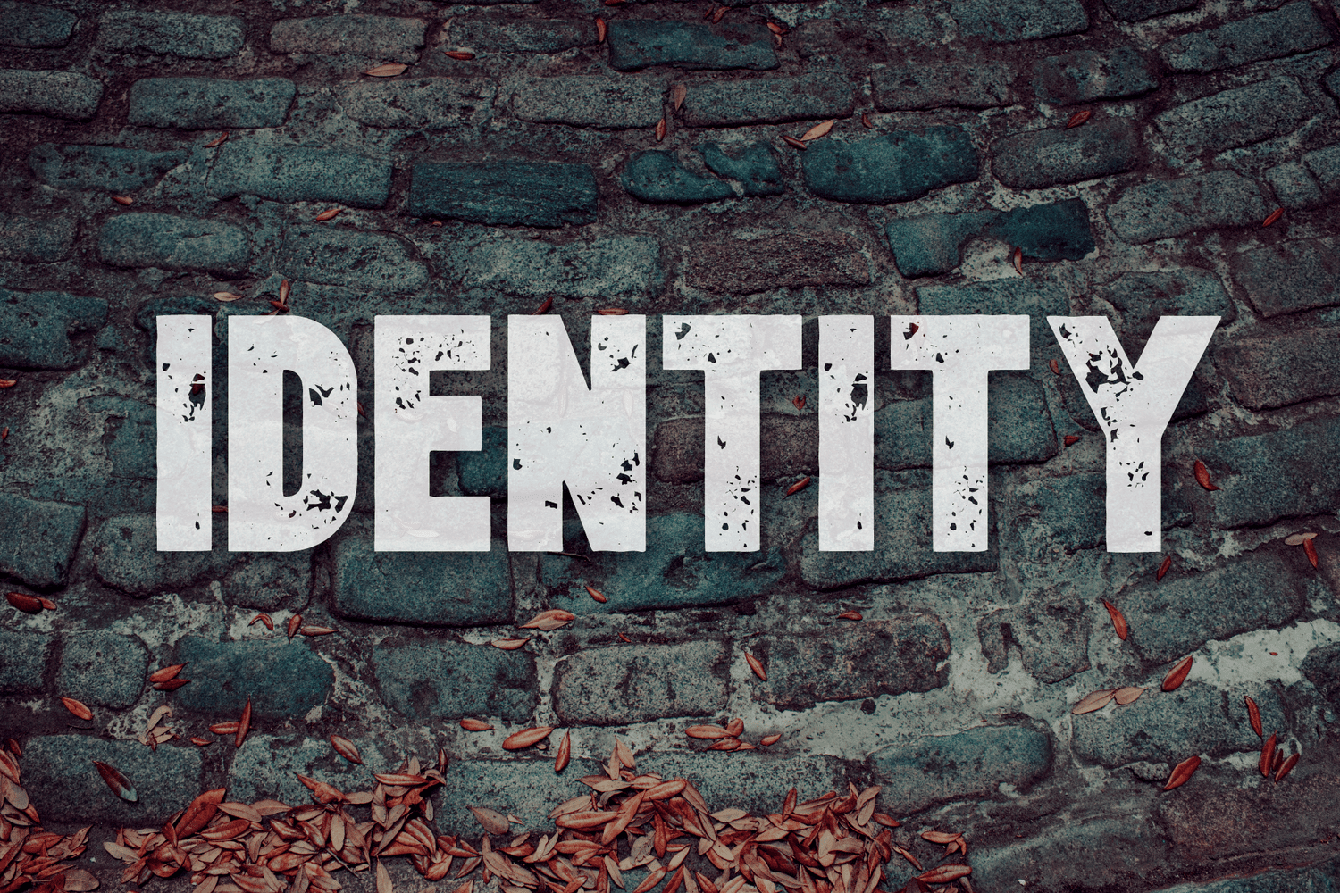 Identity: The Gospel episode artwork
