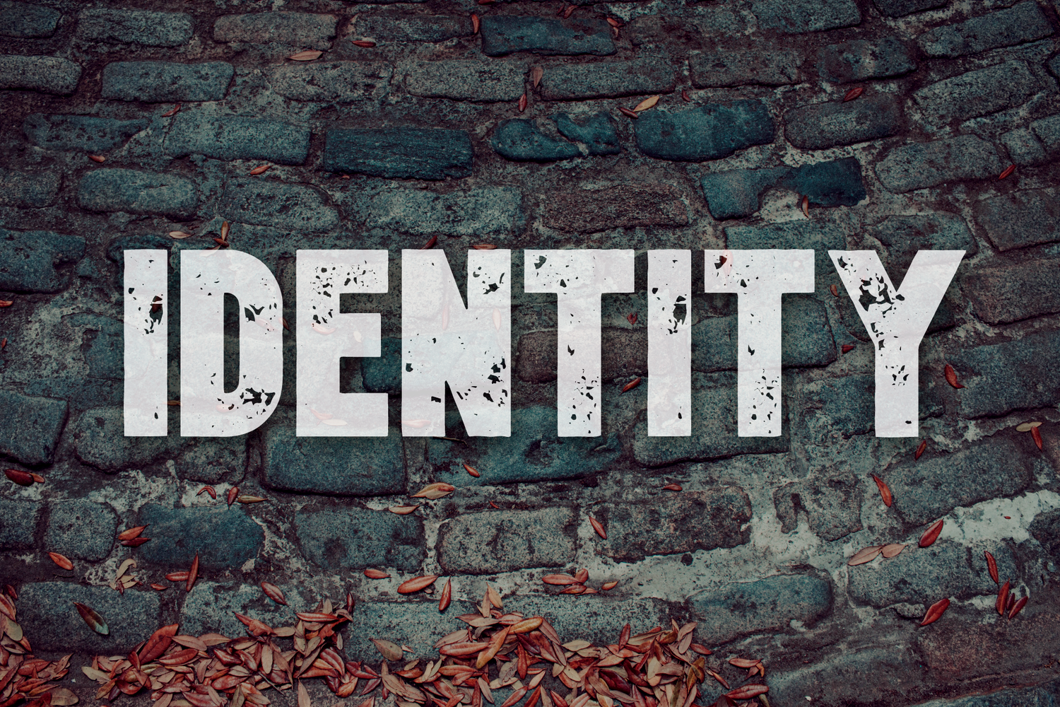 Identity: Conversion & Evangelism episode artwork