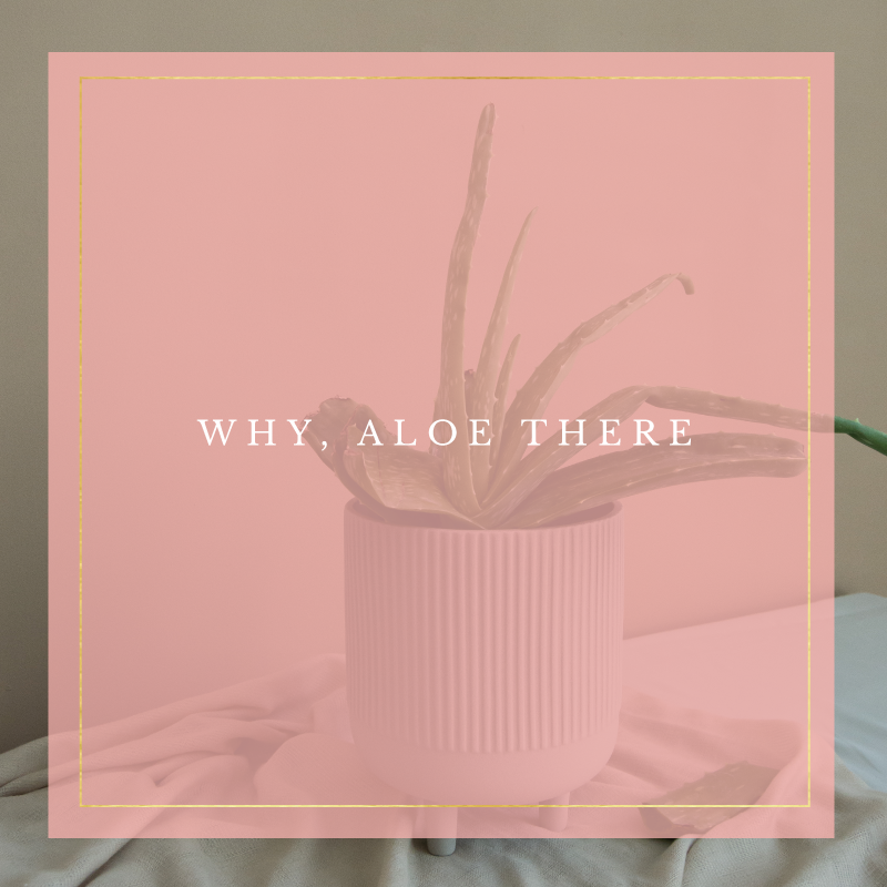Why Aloe The Square.png