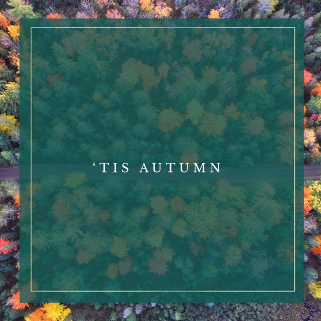 Tis Autumn Square.png