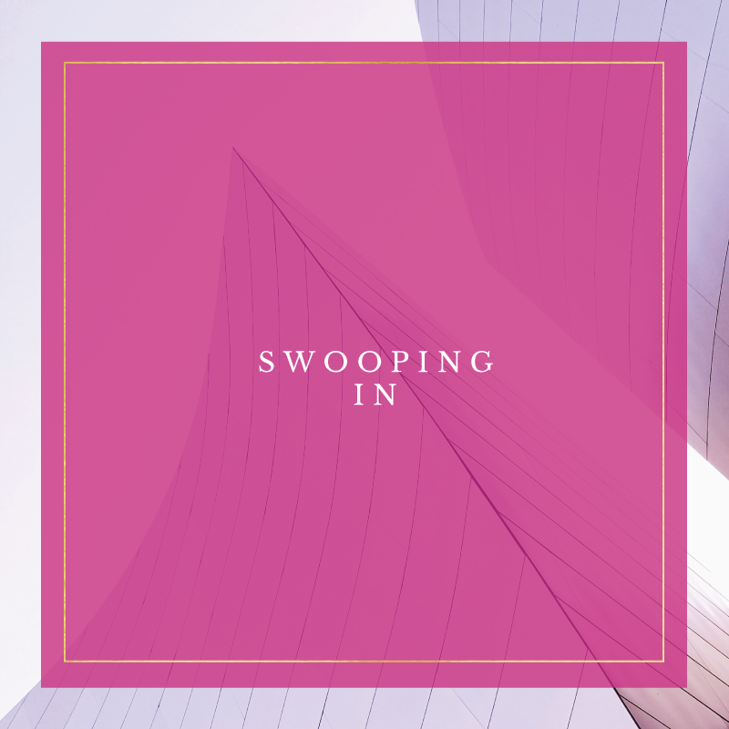 Swooping In square.png