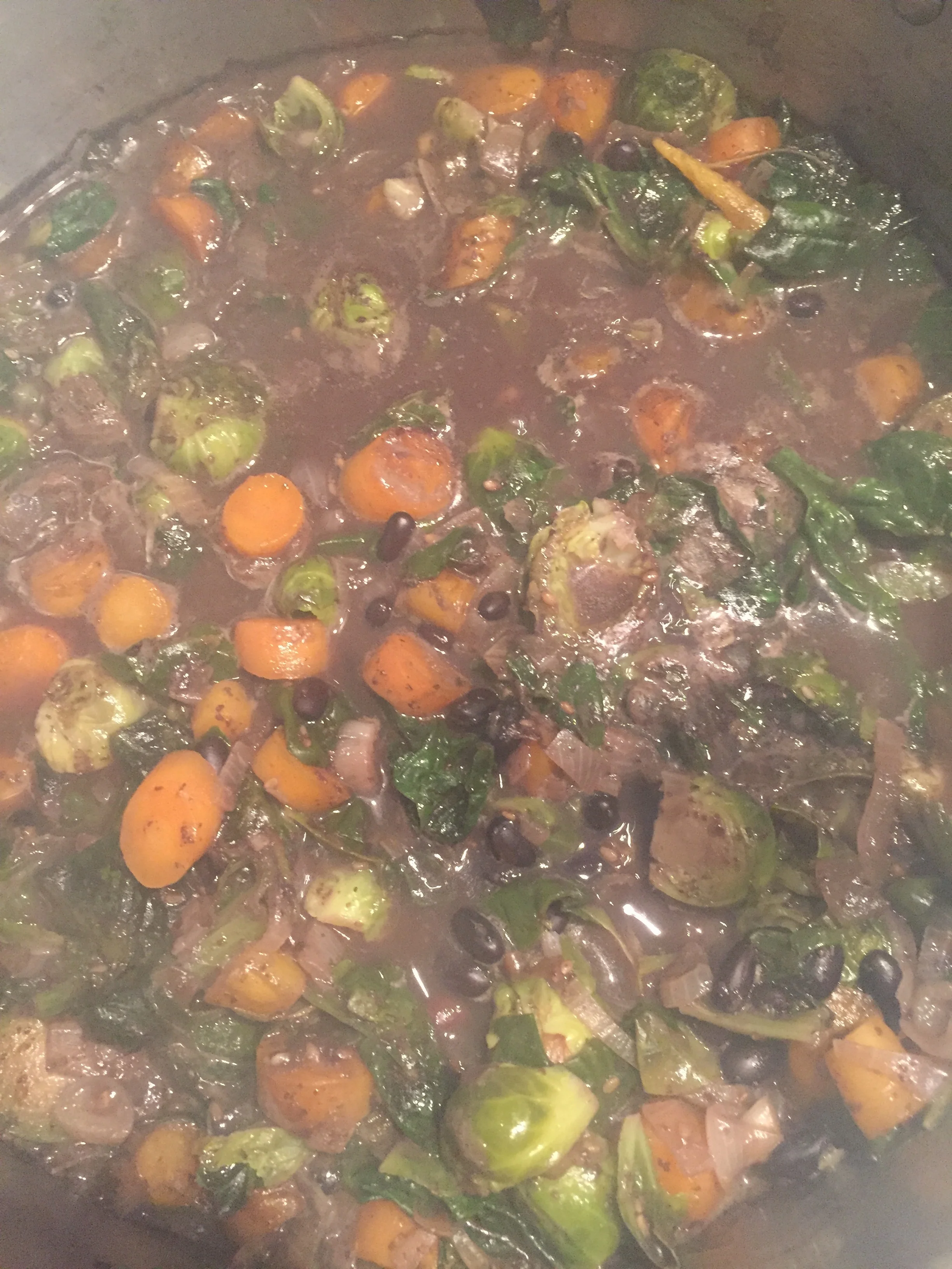 Star-Bellied Sneetches