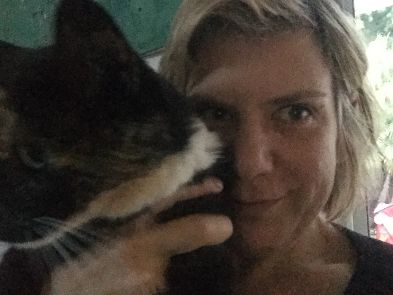 Comfy Chair + Cat Practice