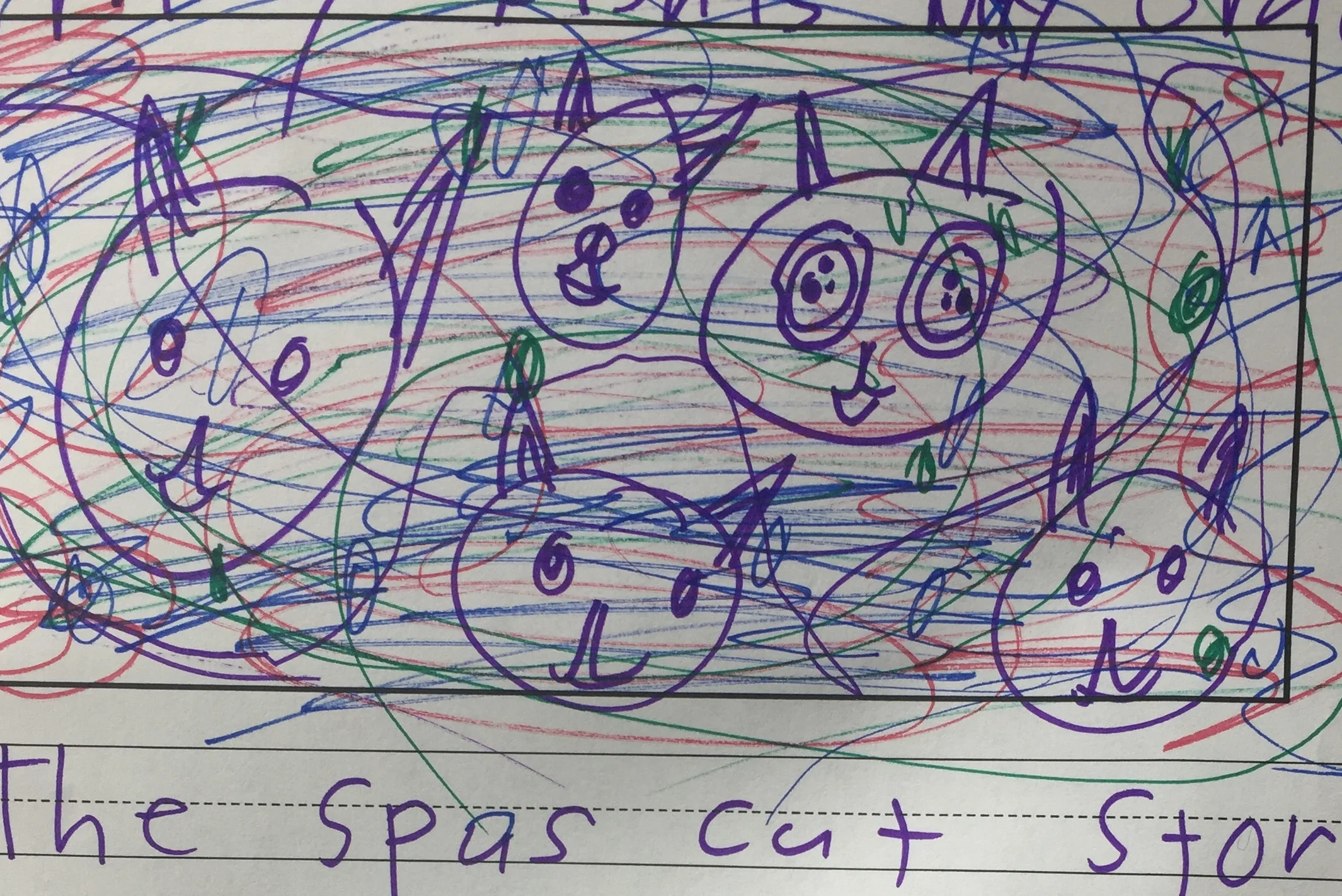 The Space Cat Store