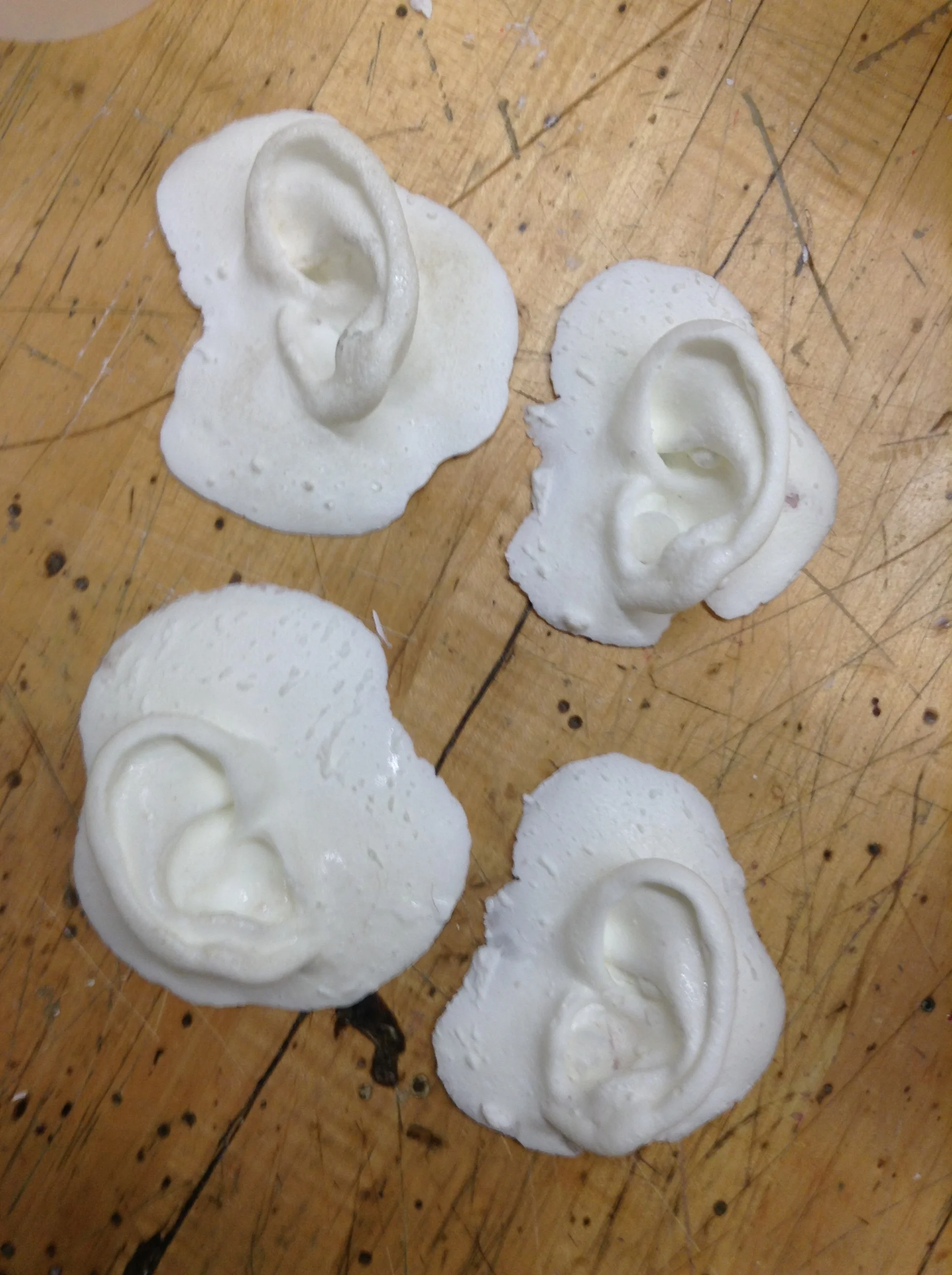   Tickling Ears (in progress)  2018-2019  Mixed Media  Installation 