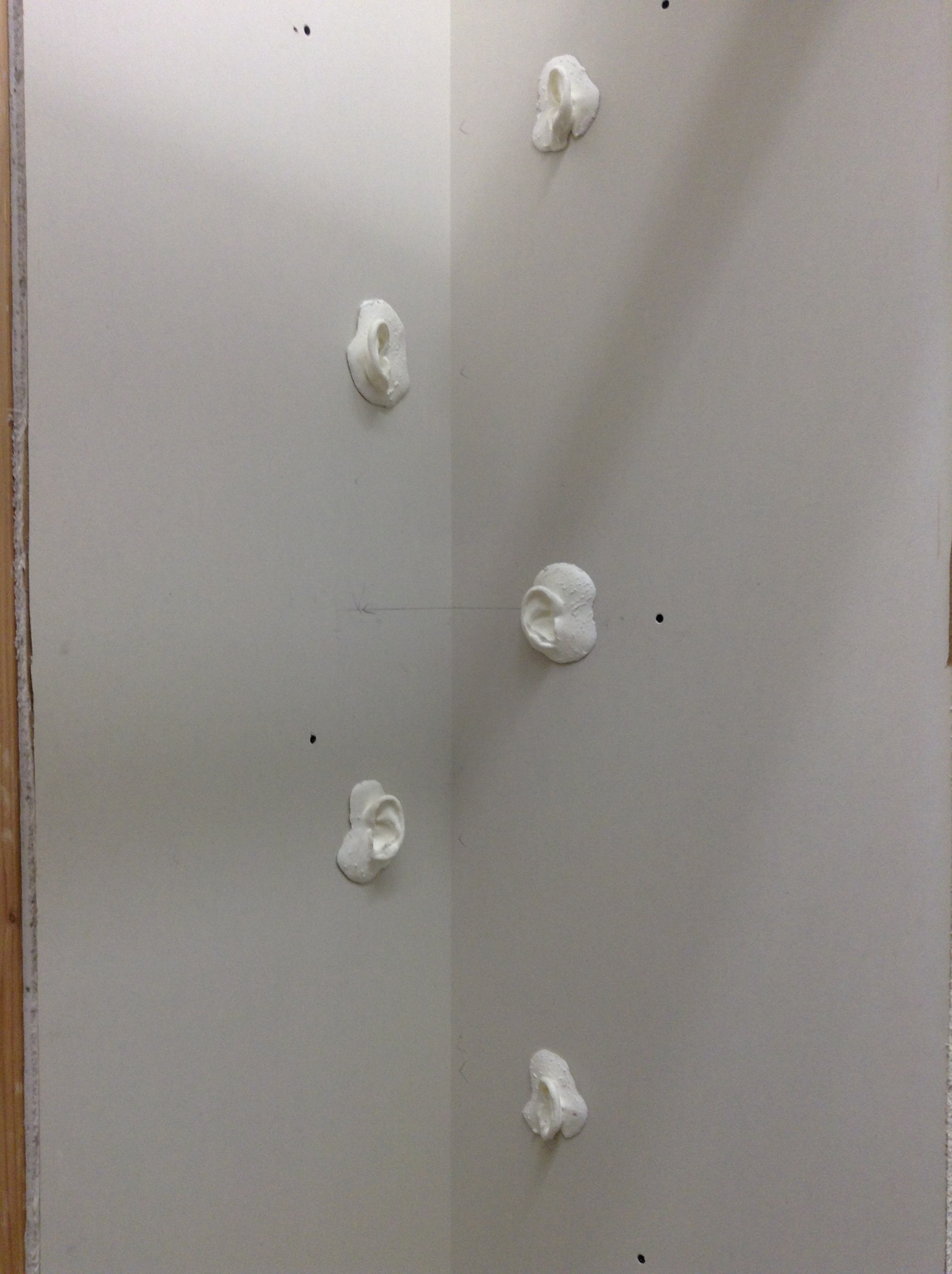   Tickling Ears (in progress)  2018-2019  Mixed Media  Installation 