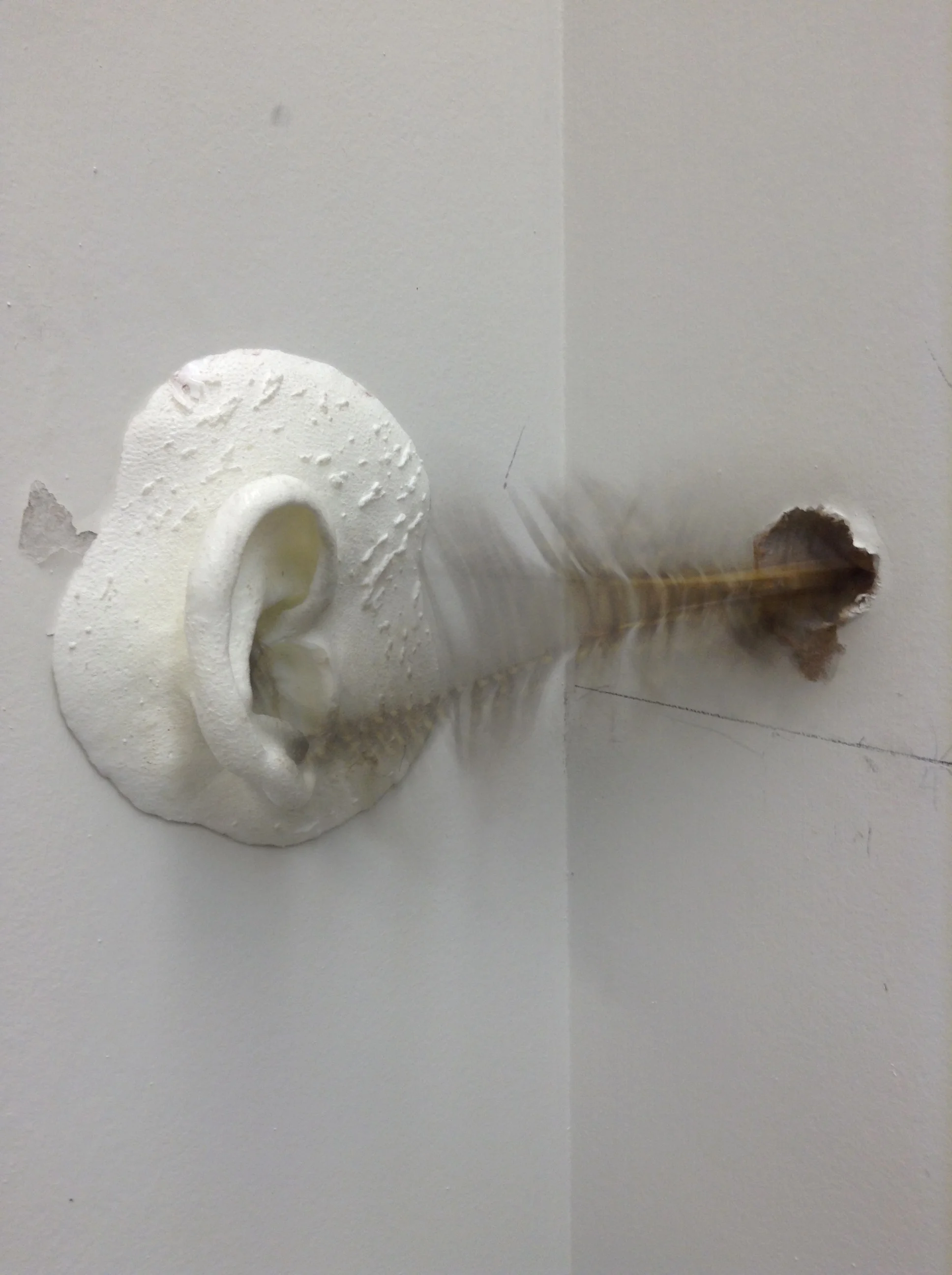   Tickling Ears (in progress)  Mixed Media  Installation  2018-2019 