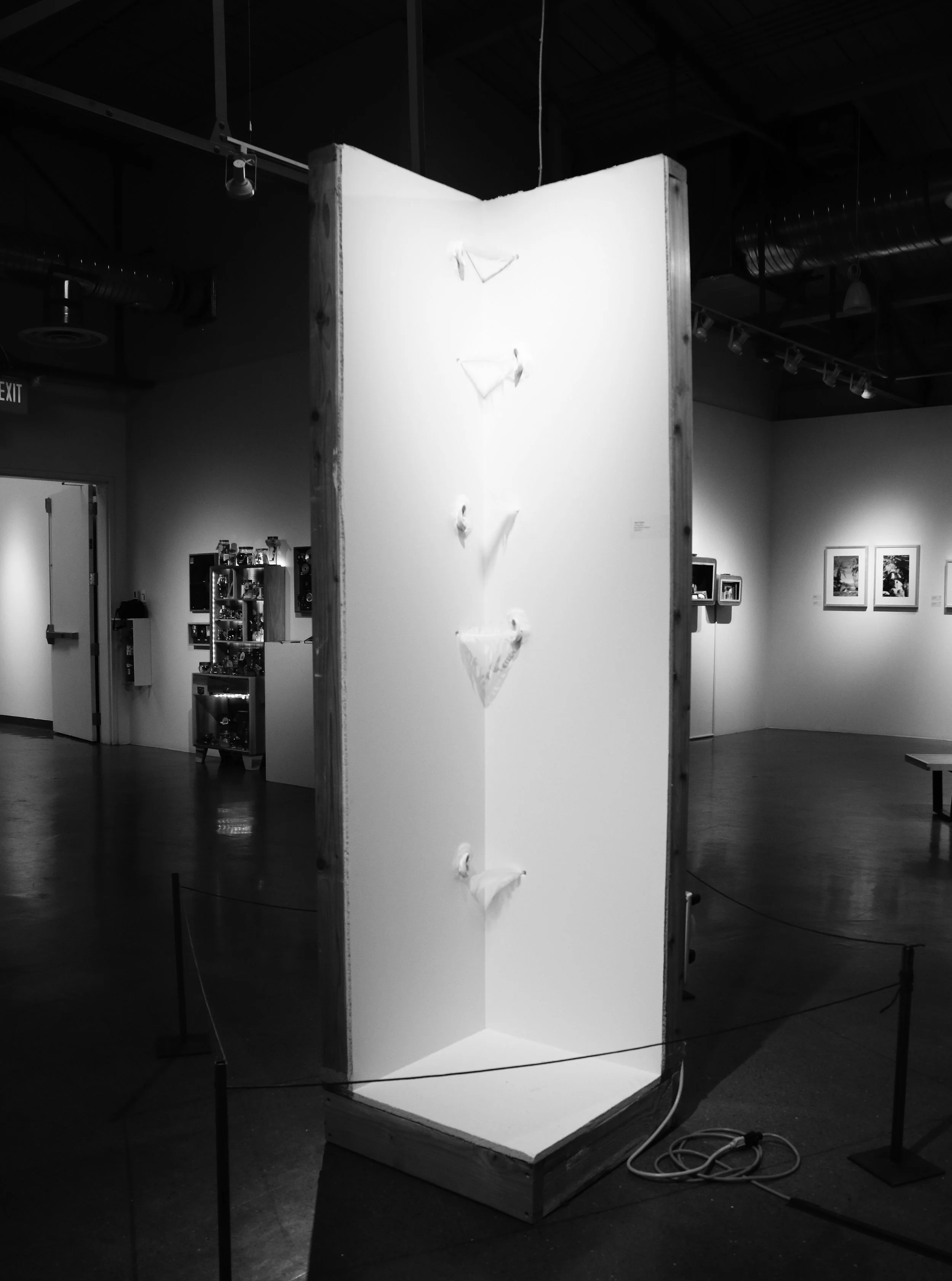   Tickling Ears   2018-2019  Mixed Media  Installation 