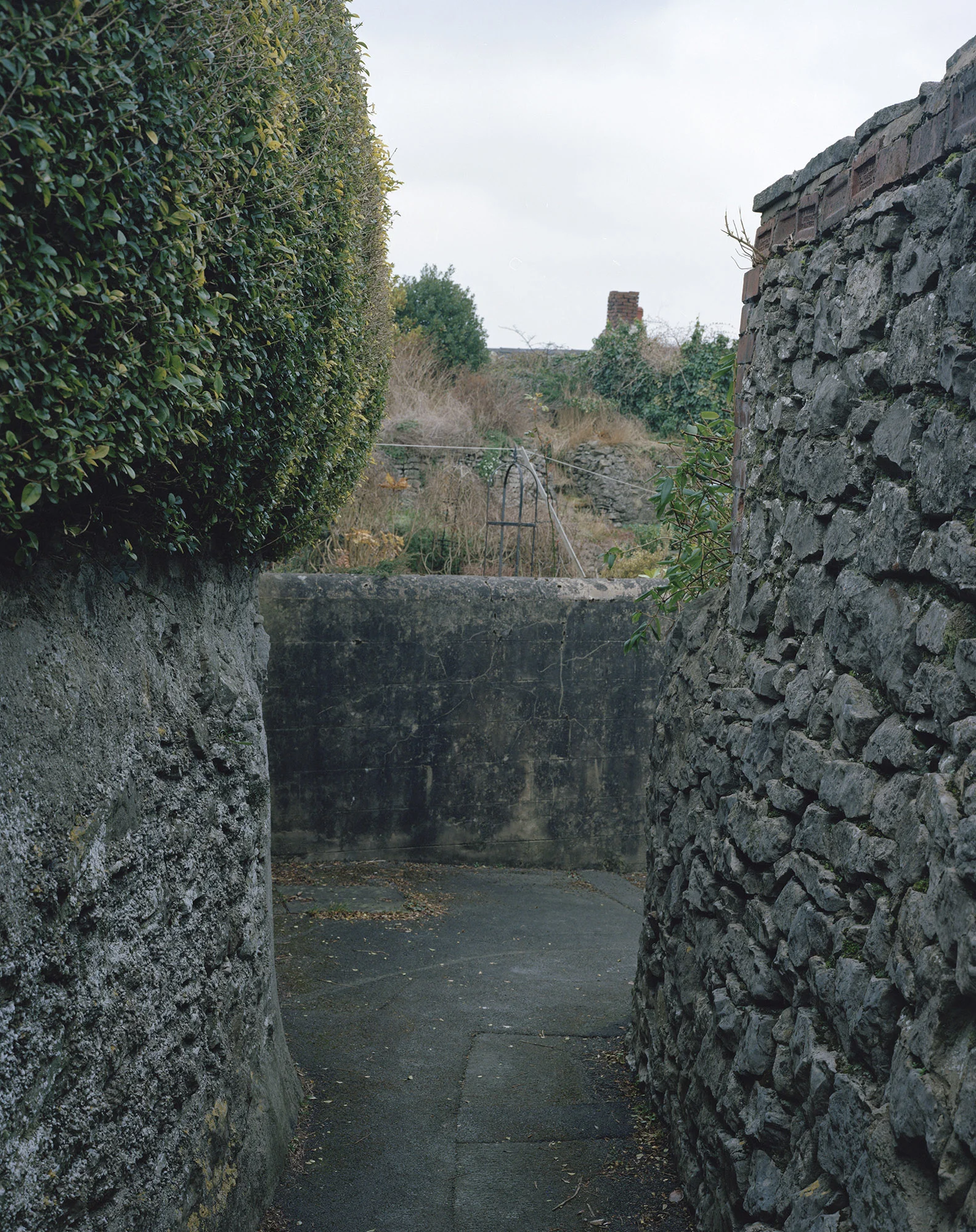BrooksPress_CB1651-B.jpg