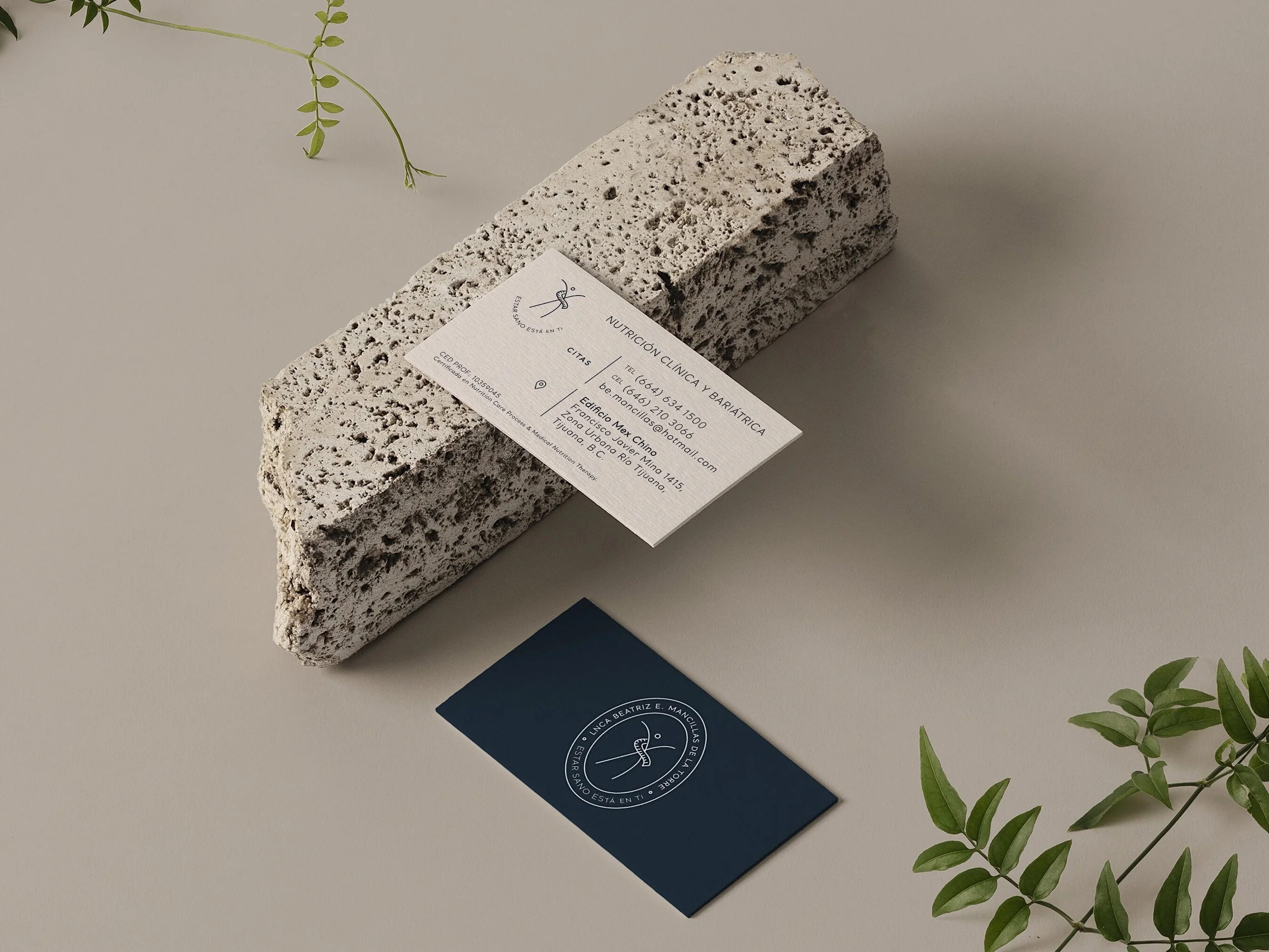 L.N. Beatriz Mancillas