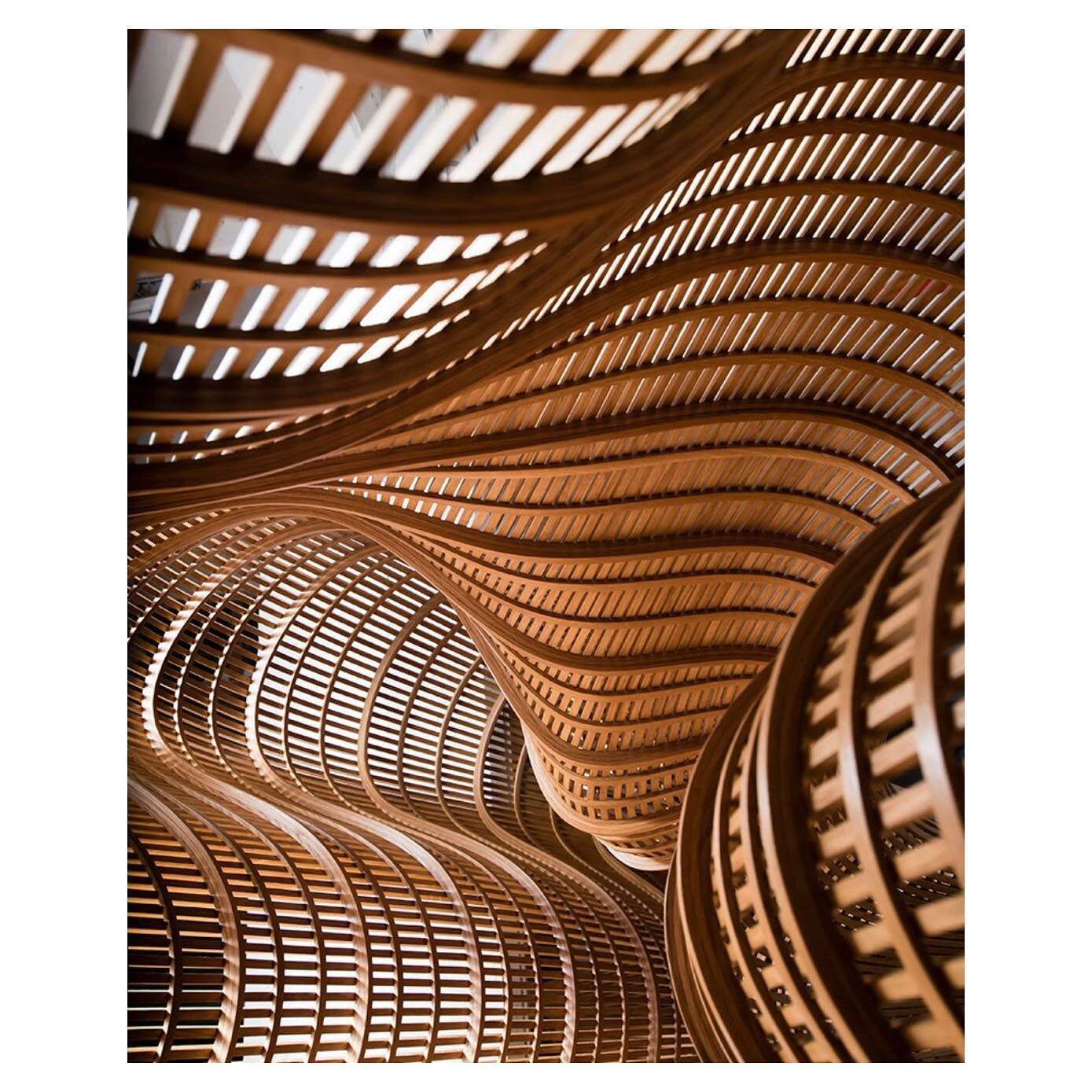 Een foto vanuit de binnenkant van een bank van Matthias Pliessnig, een bank gemaakt door het stomen en buigen van hout. 
.
.
.
.
.

#architecture #art #reliefsculpture #3dart #wallart #utrecht #handmade #handmadeart #wandpaneel #3dwallart #reliefpain