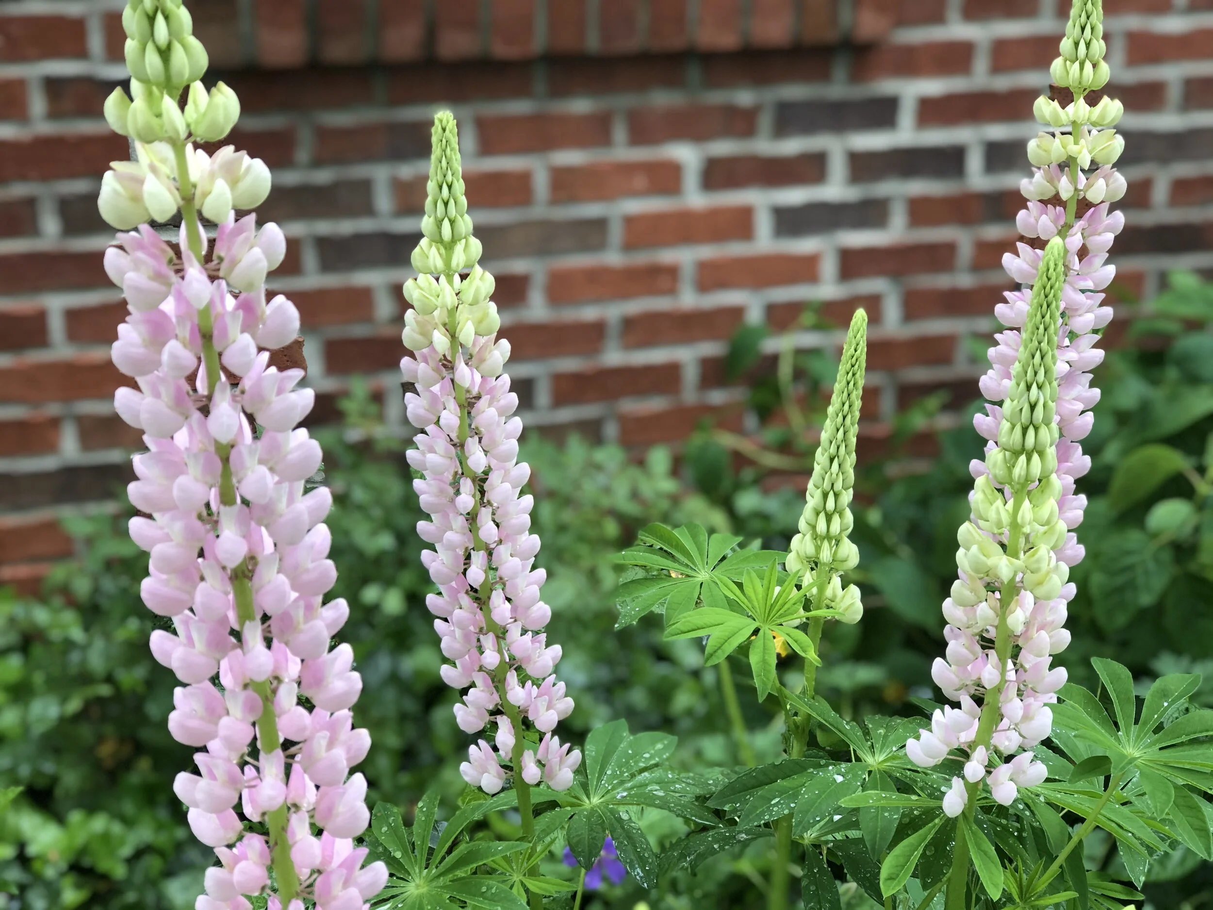 Small Ways We Can Role Model Emotional Health for Our Kids