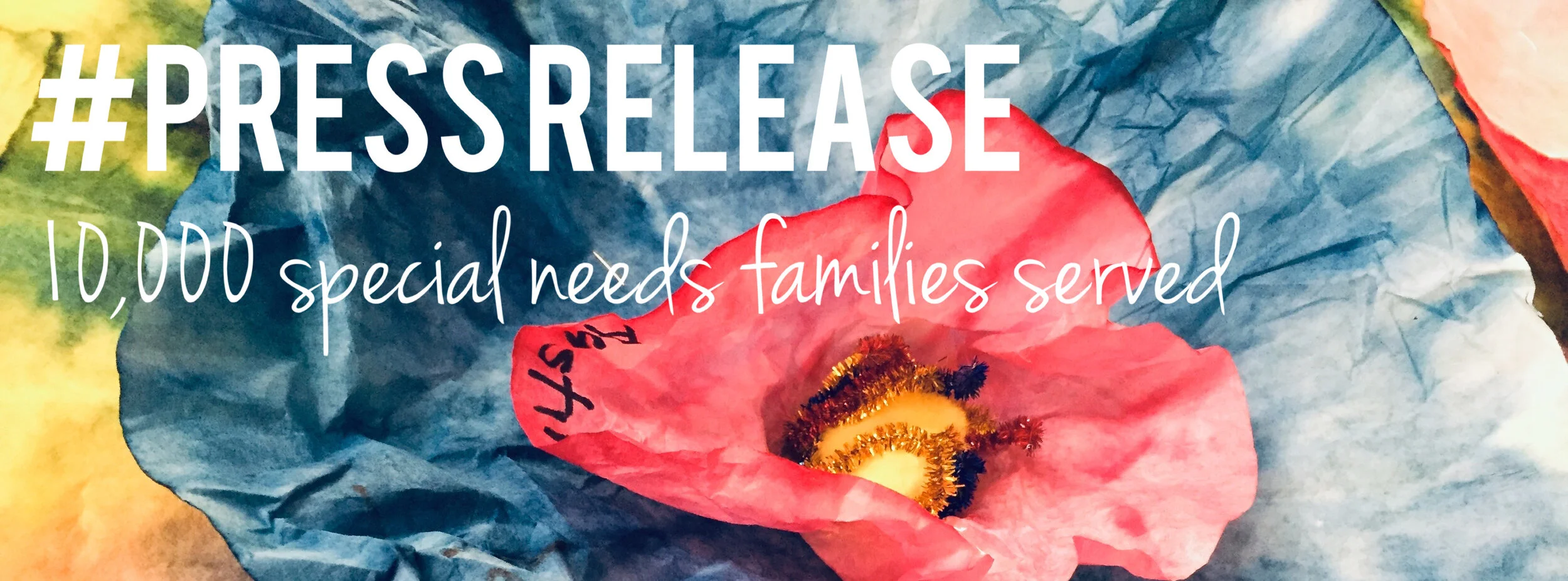 Web Site Gives Emotional Support to 10,000 Special Needs Families 