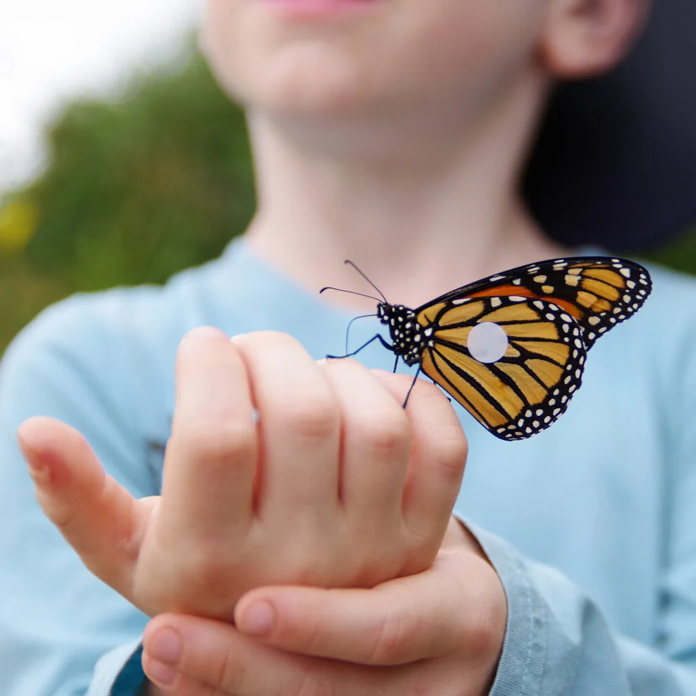 My Son’s Superpower: Celebrating Autism Every Day