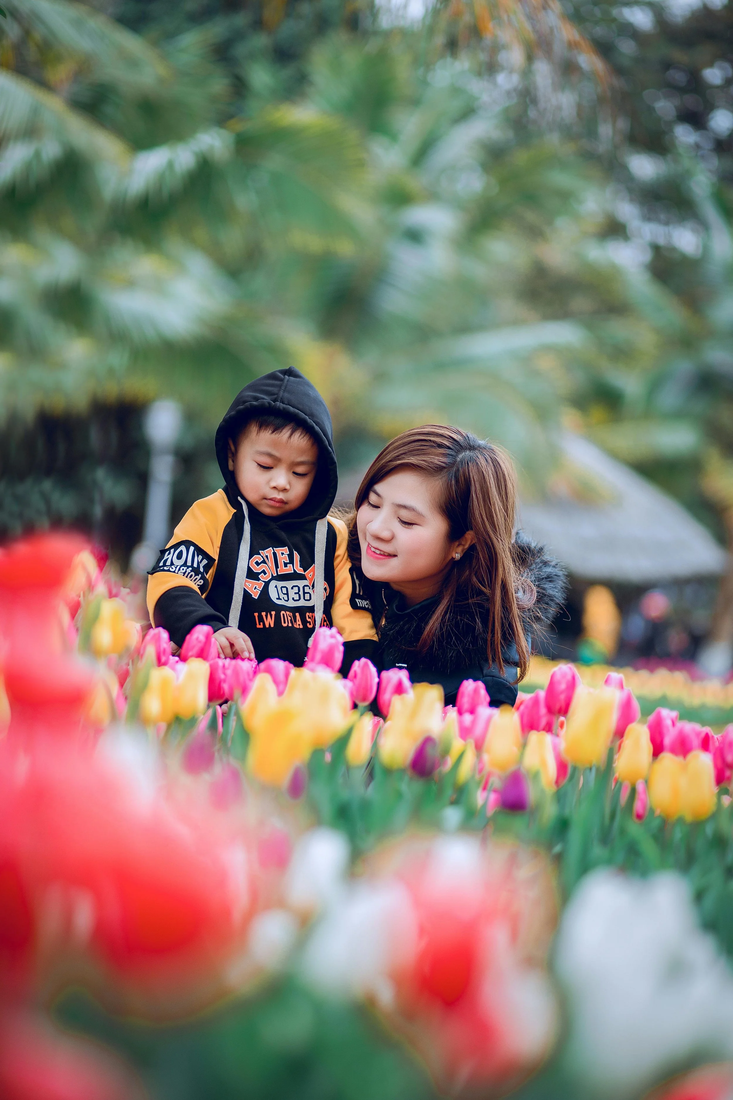 Parent Stories