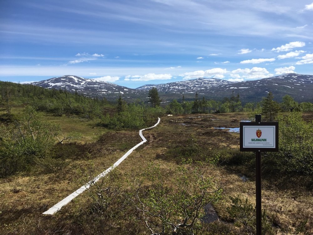 Utsikt fra nasjonalparkgrensa