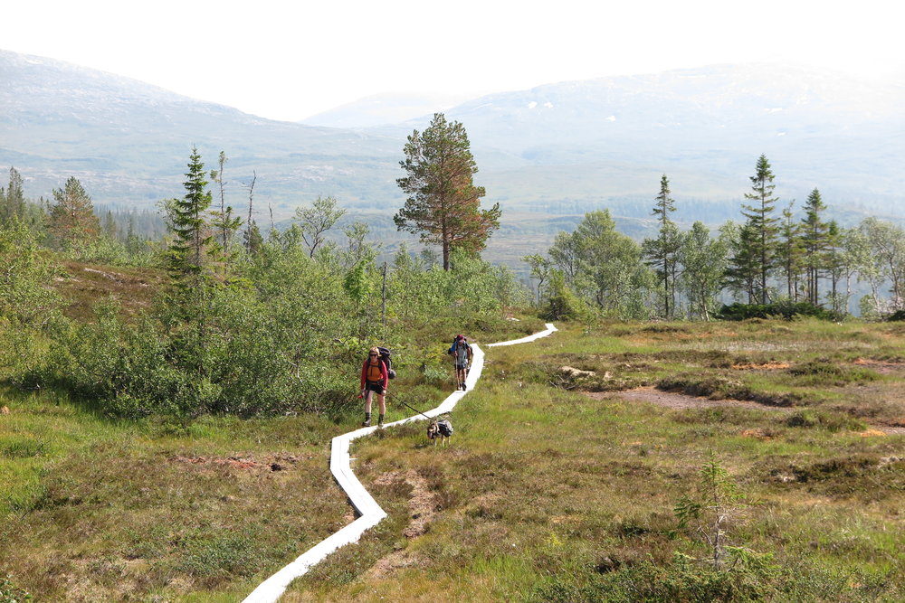 Det er klopplagt sti de første 4 km