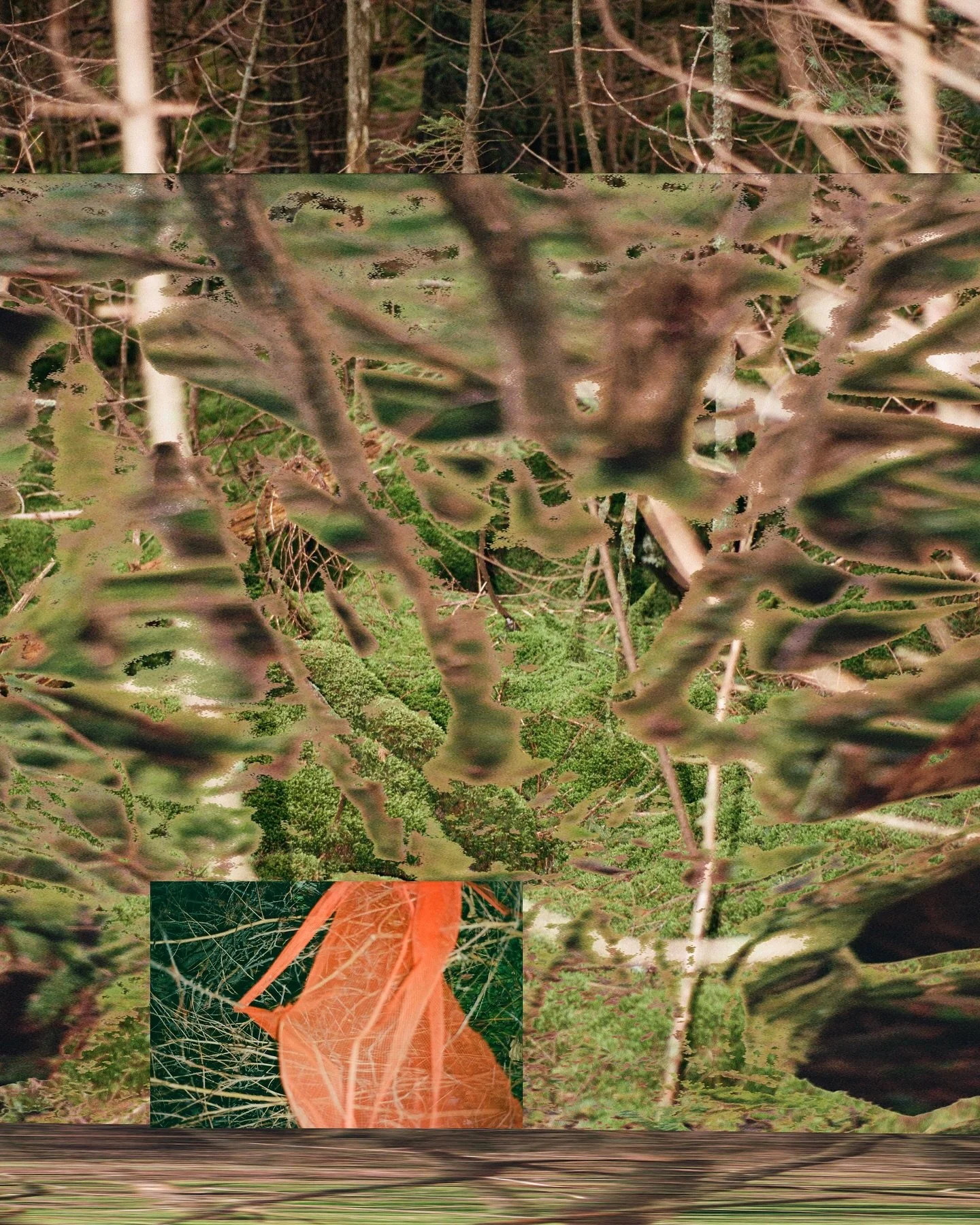 ARCHIVAL SCRAPS