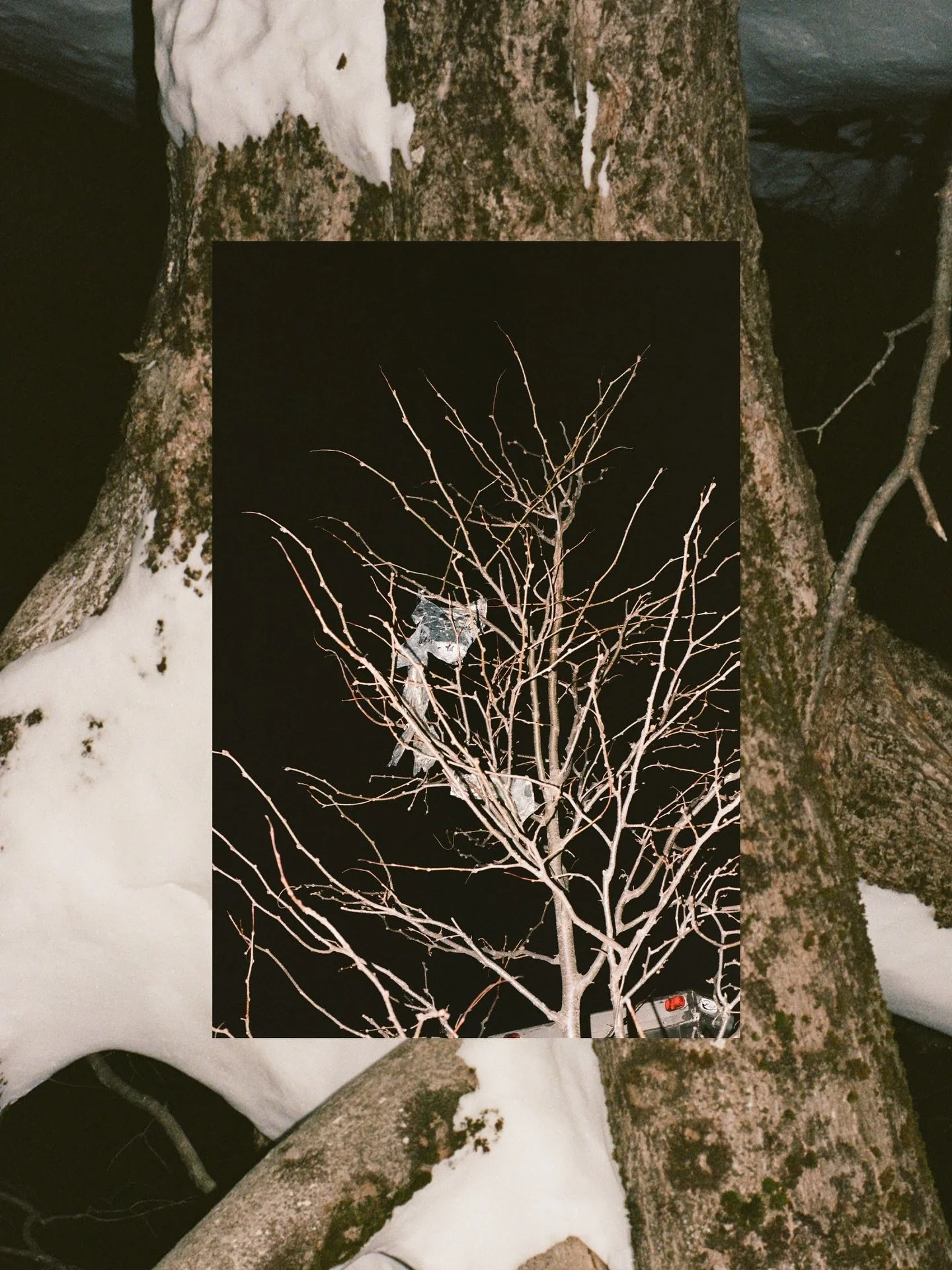 Shots from the deep winter