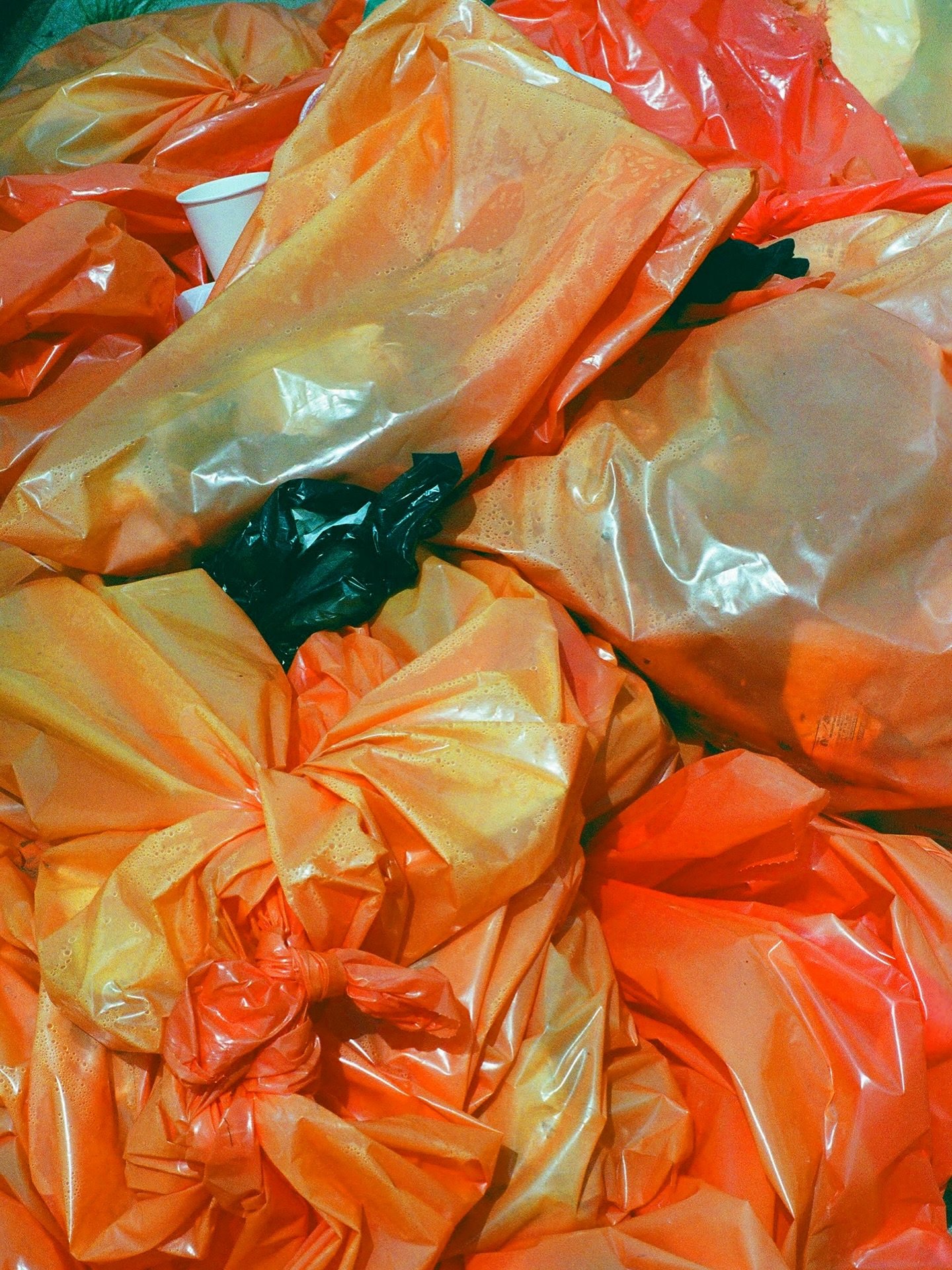 cryogenically induced phosphorescence