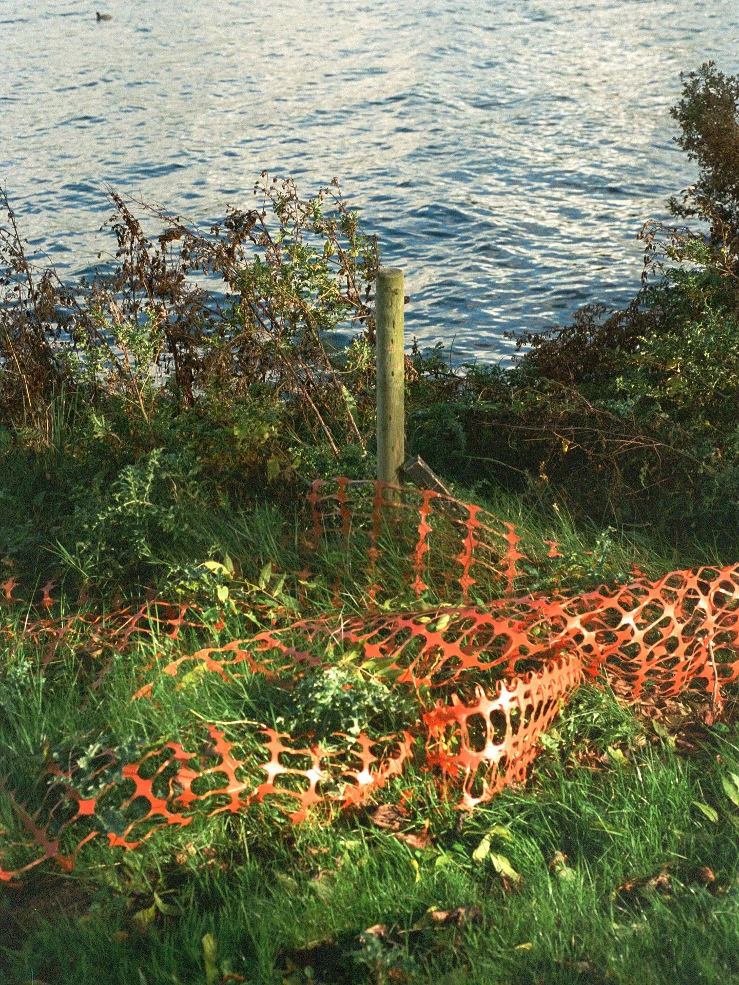 &bull; AMS 2025 &bull;