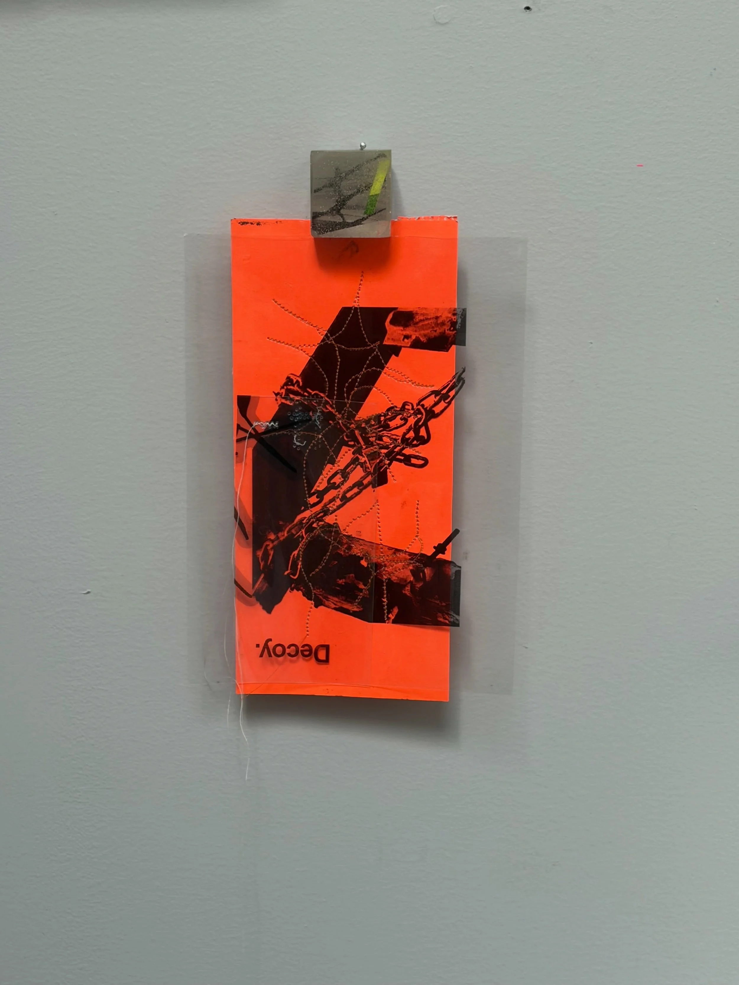 DECOY

12&rdquo; x 10&rdquo; 
Assemblage Of photo print on Paper, transplant film, thread, epoxy resin

Epoxy