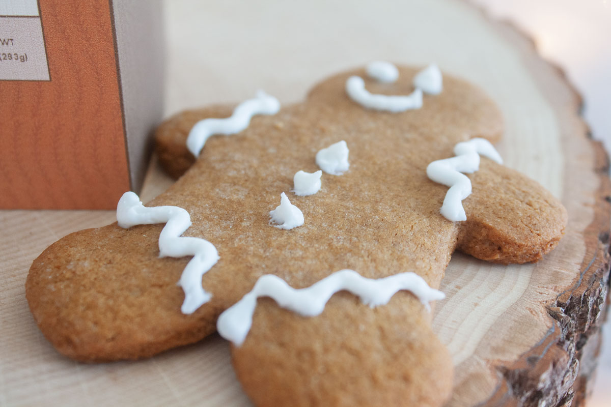 gingerbread-closeup.jpg
