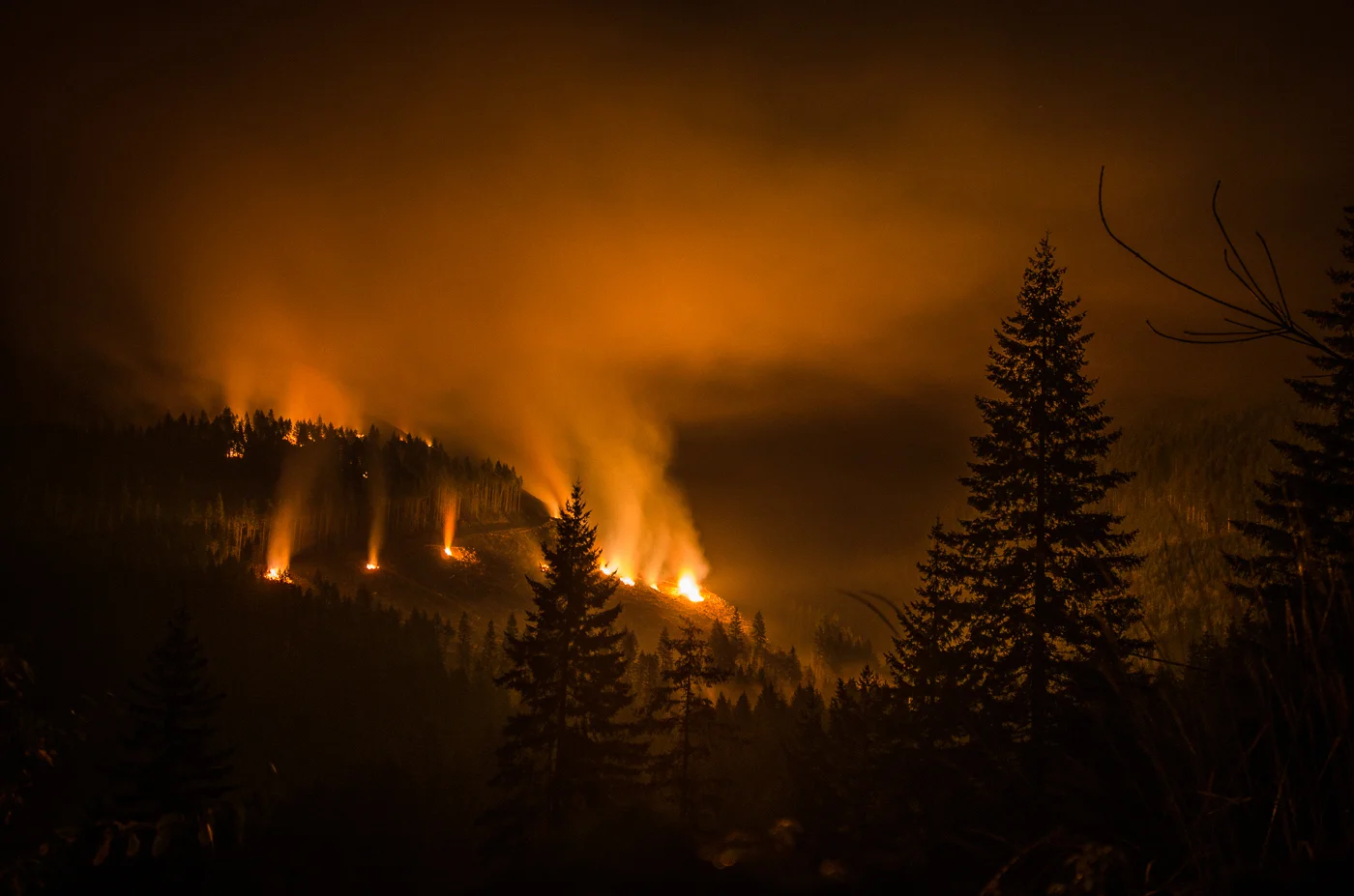 Slash pile burning