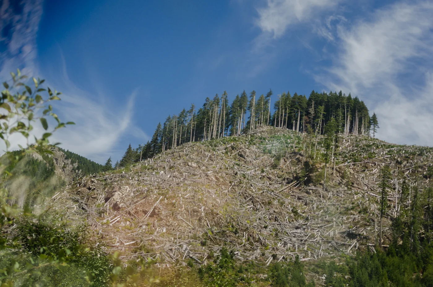 DSC_8628.jpg