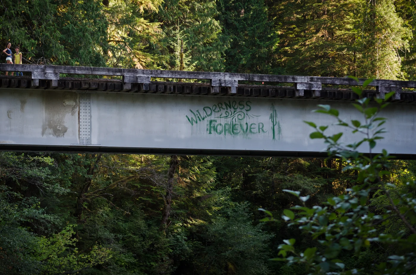 DSC_8419.jpg