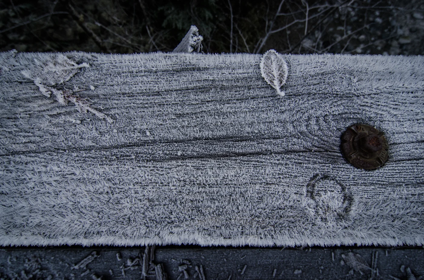DSC_1123.jpg