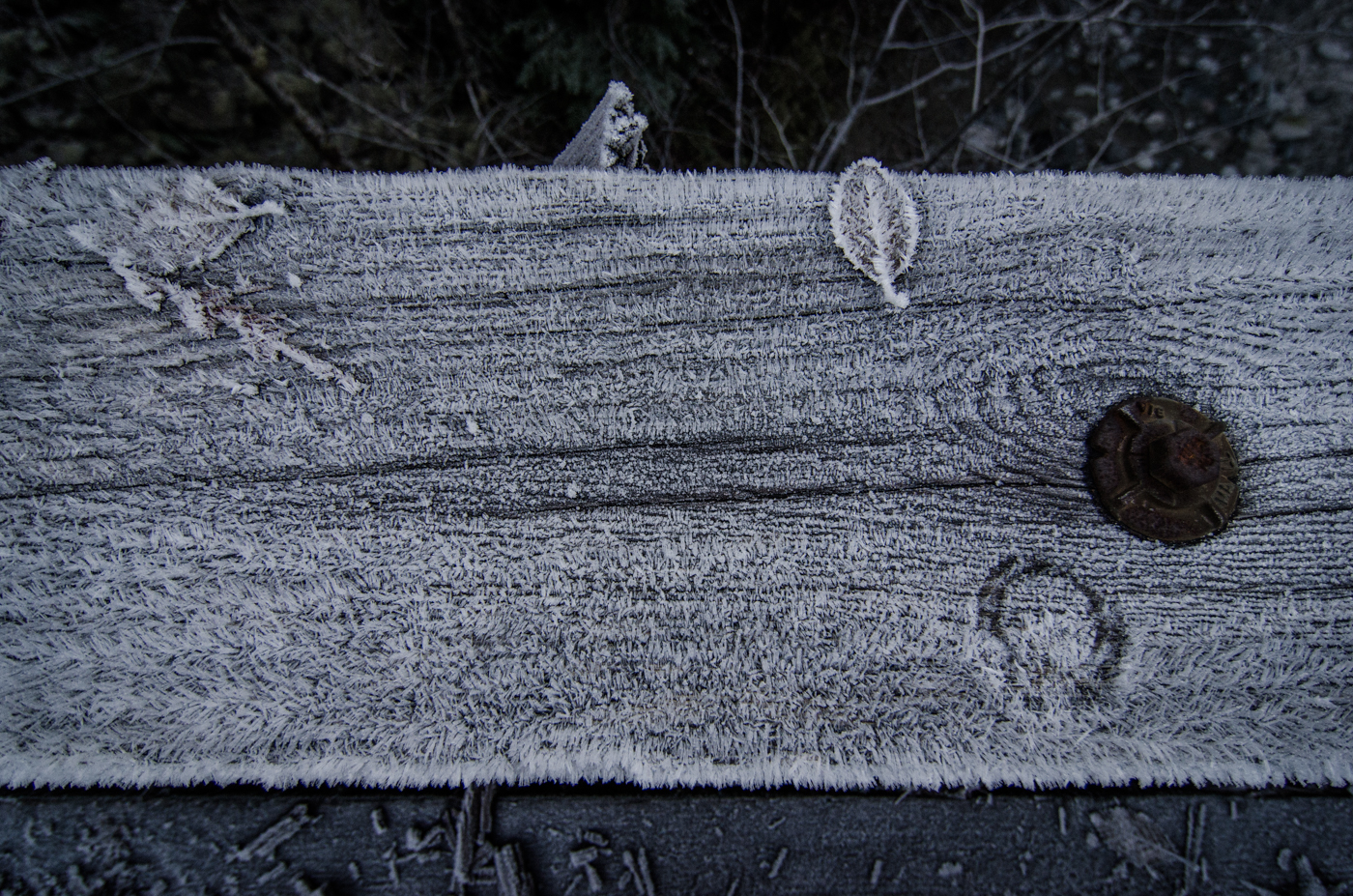 DSC_1123.jpg