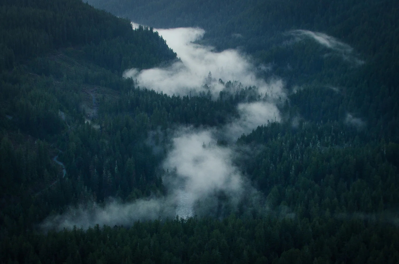 Fog in valley