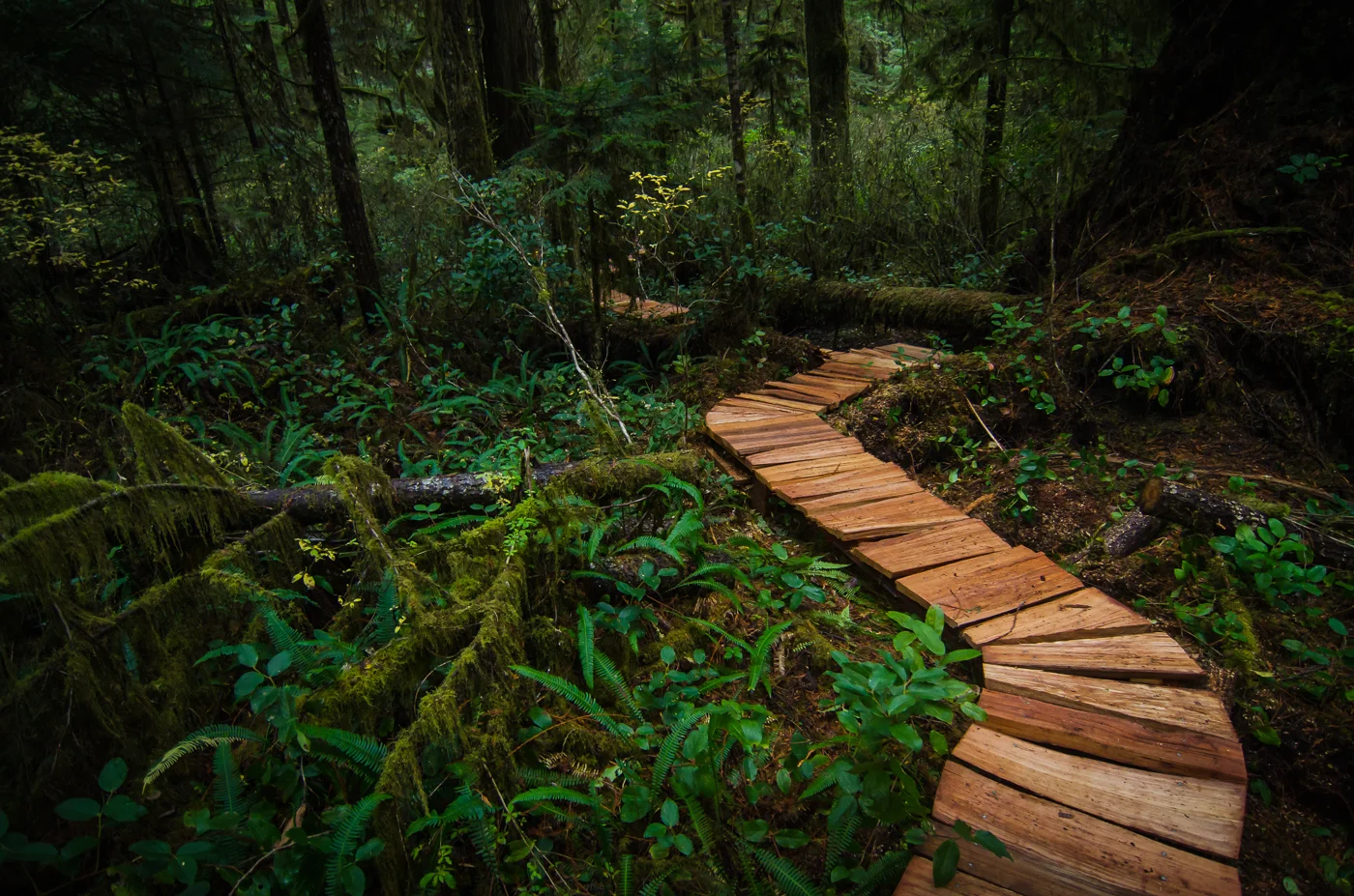 Golden Boardwalk