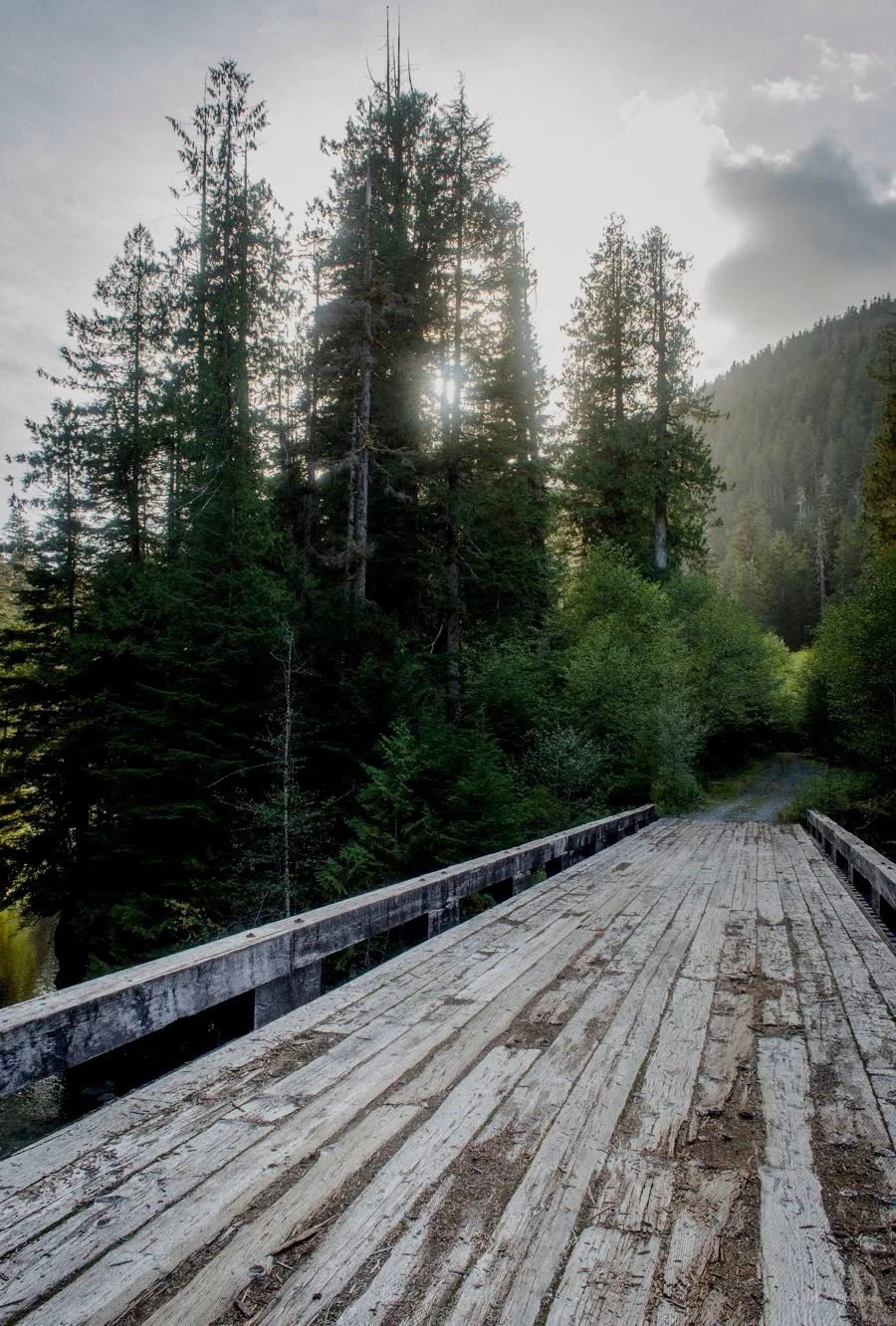 Bridge Sunset