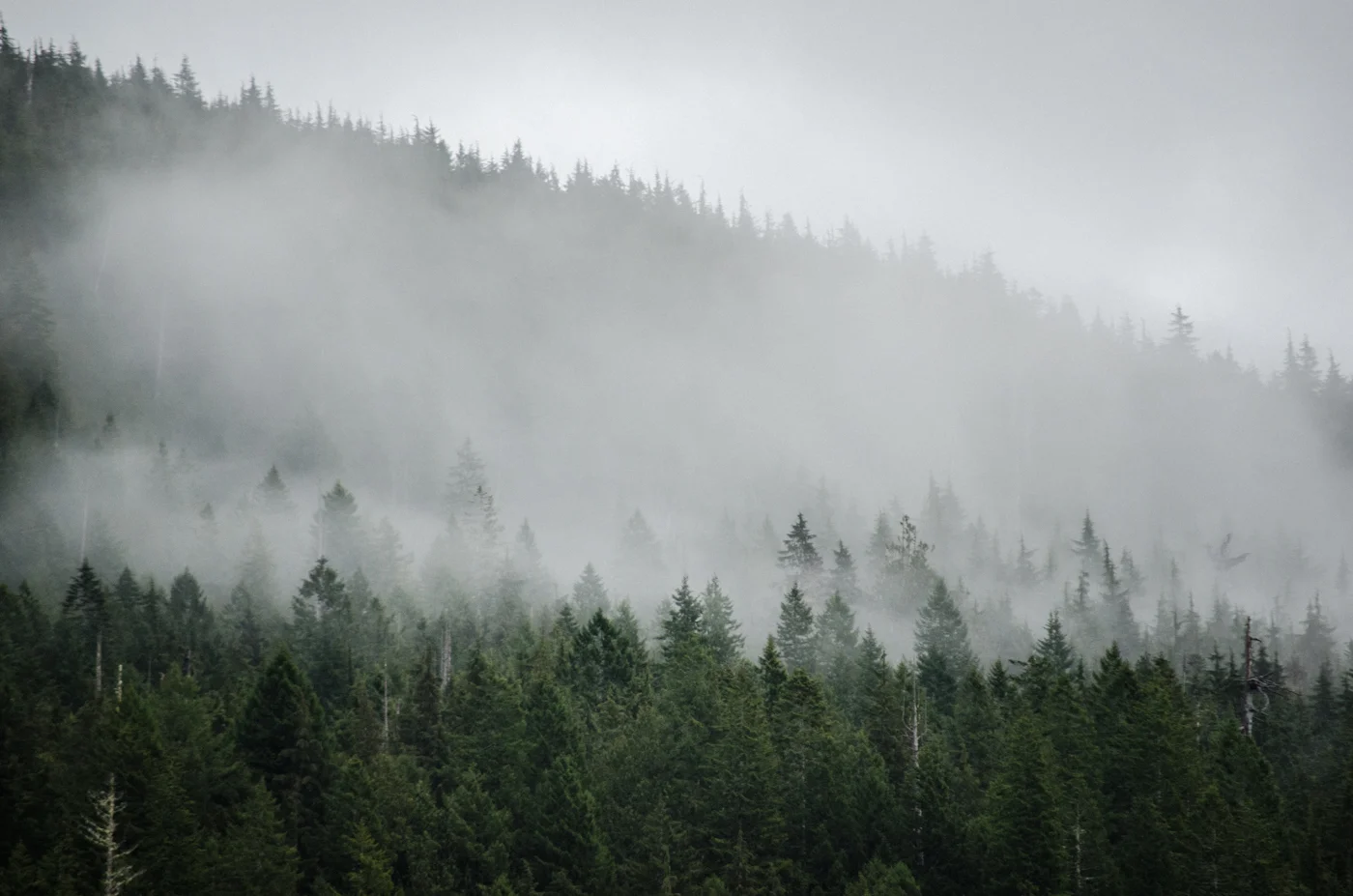 DSC_0848.jpg