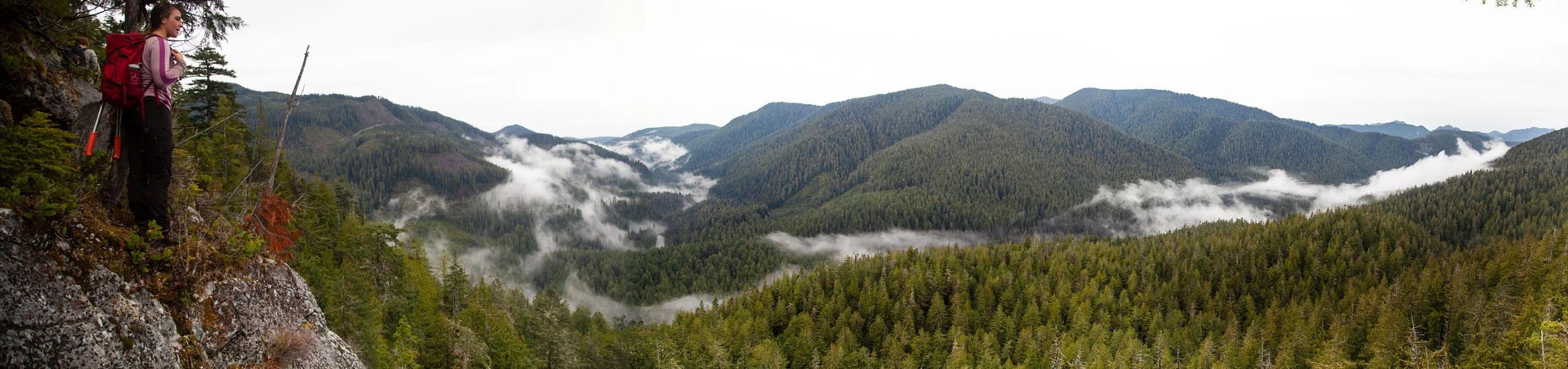 View from the top