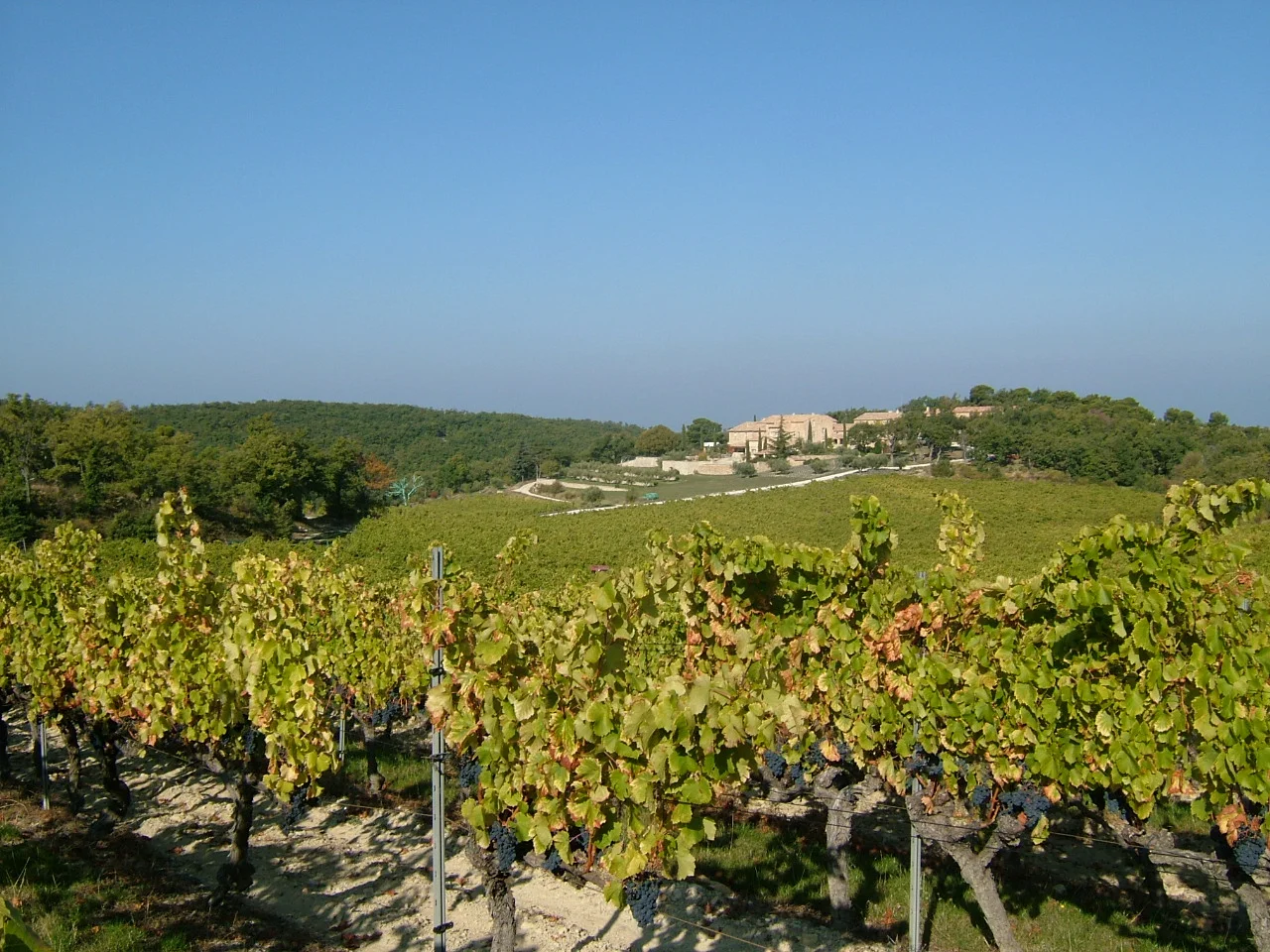 DSCF1743.JPG